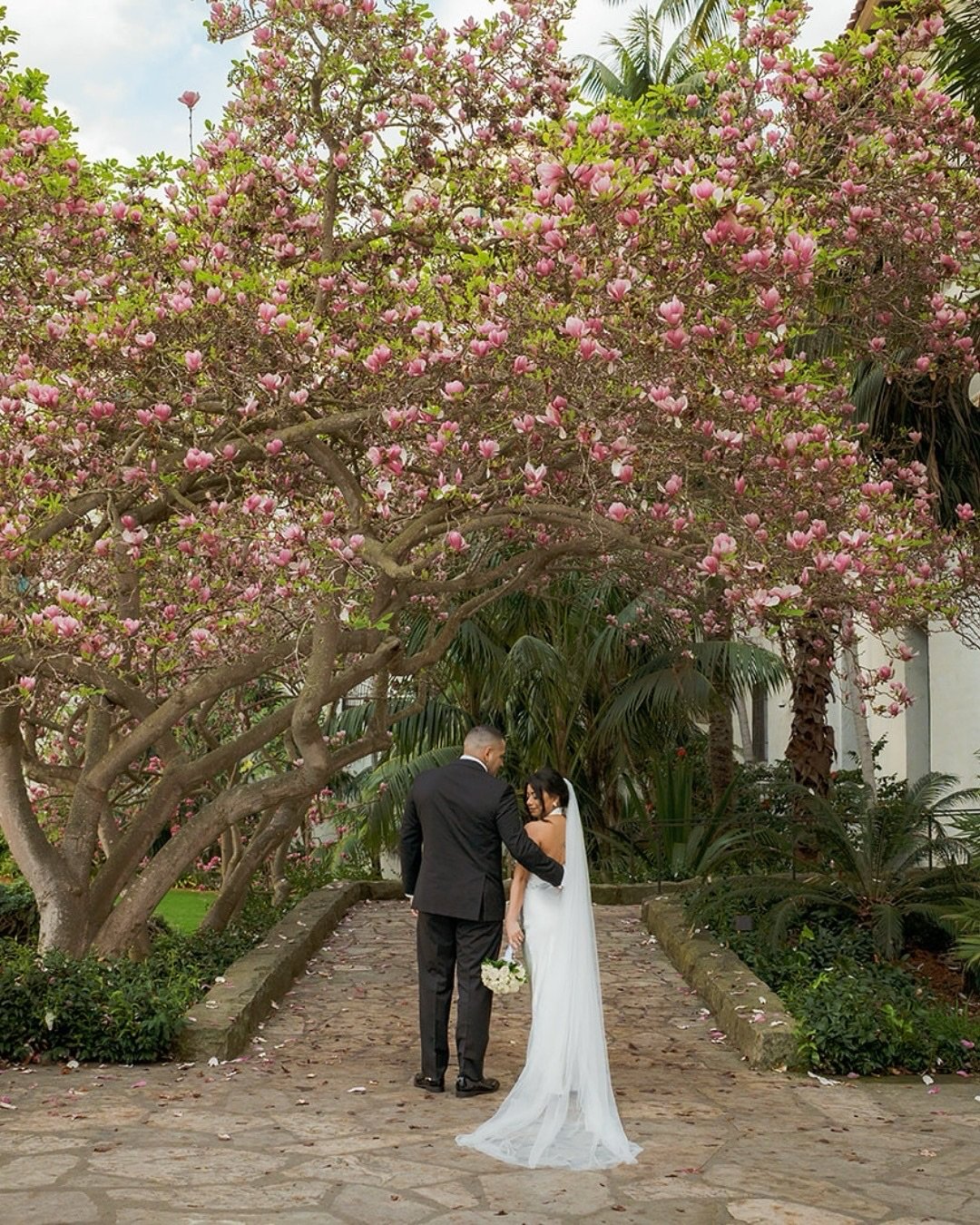 JANETH + JAVIER 🌷
Moments from their intimate, elegant Santa Barbara Courthouse wedding
⠀⠀⠀⠀⠀⠀⠀⠀⠀
Planner | @creativehaps 
Photographer | @pamelatatz 
Venue | Santa Barbara Courthouse
Reception | @lapalomasb 
Hair and Makeup Artist | @makeupbyemilie