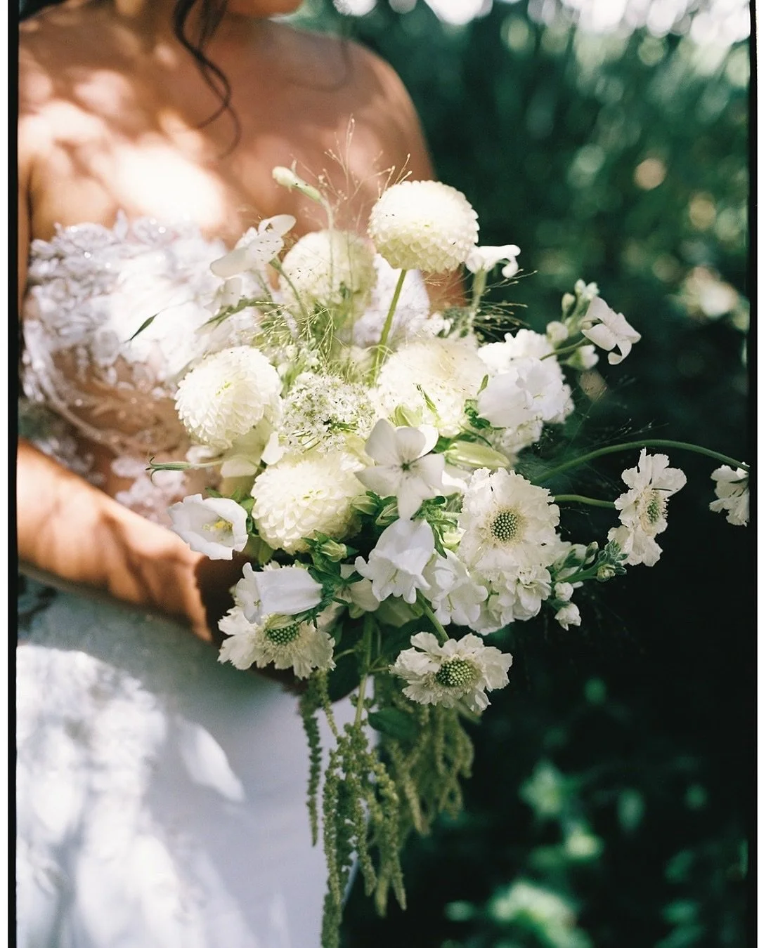 A small collection of moments from Christine + Nate’s Tivoli Italian Villa wedding, captured on vintage film + drone ✨🎞️
⠀⠀⠀⠀⠀⠀⠀⠀⠀
Vendors:
Wedding Coordinator | @bringthebubblyevents 
Catering & Venue | @tivoliweddings @trademarkvenues 
C