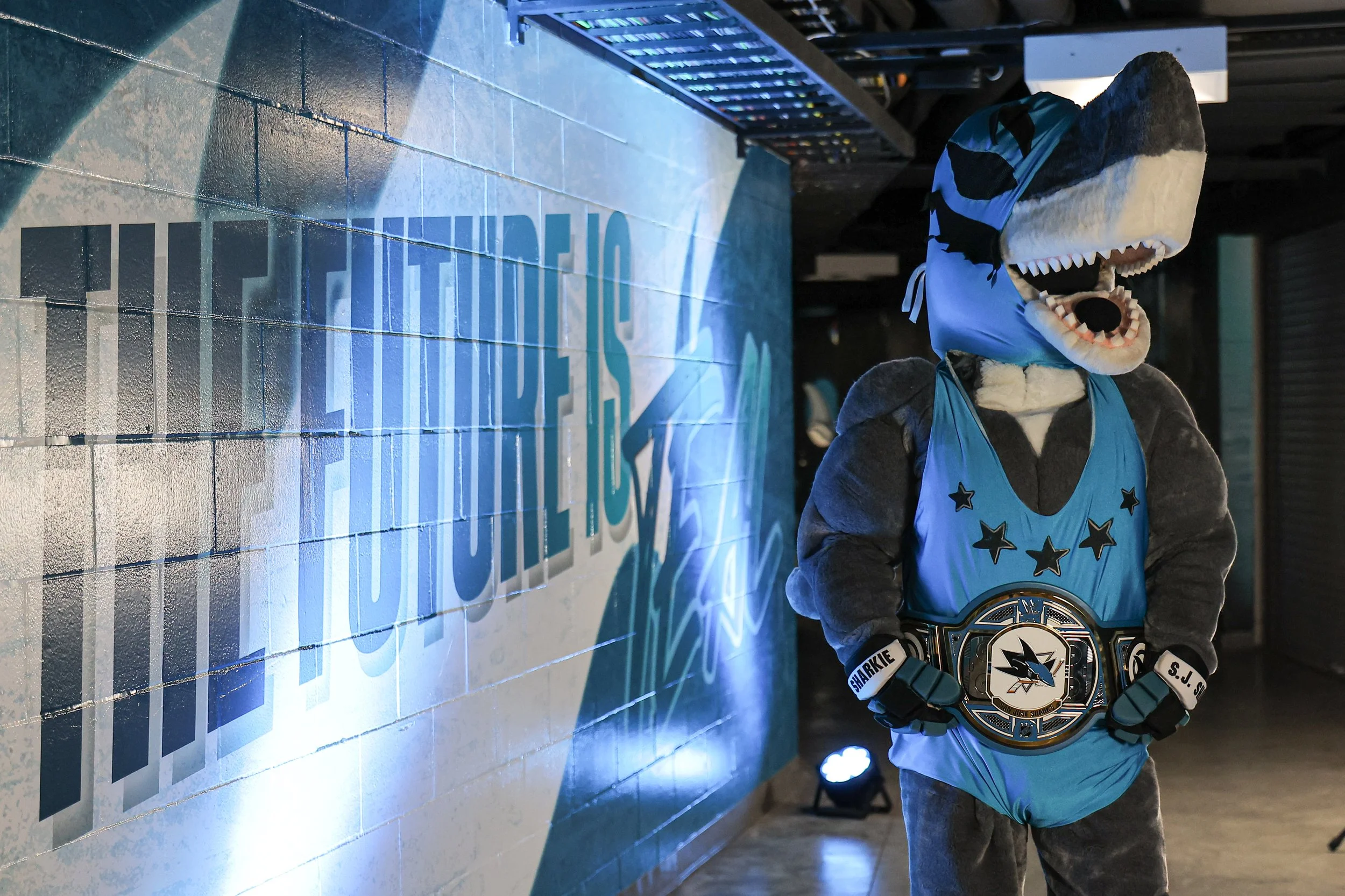 2526_sharks_best03.JPG