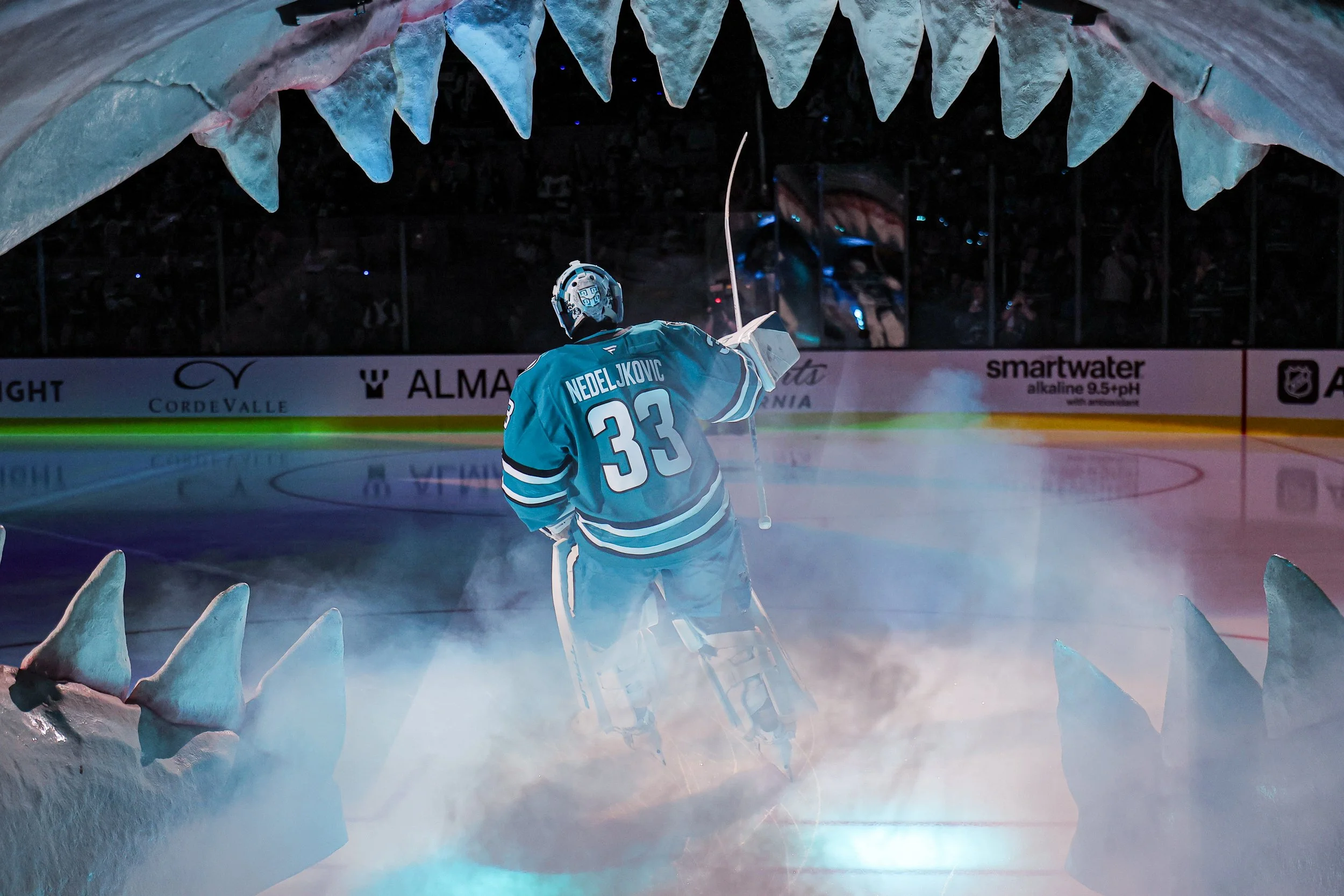 2526_sharks_best02.JPG