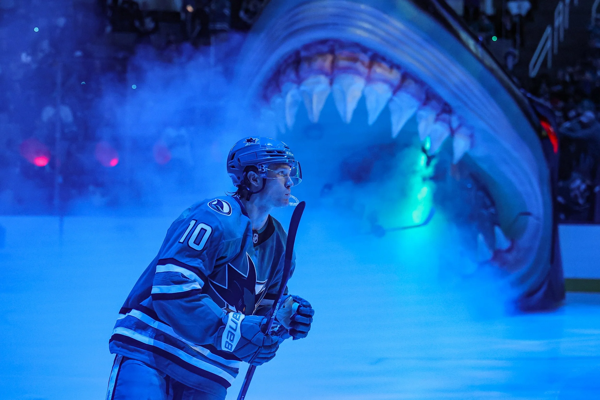2526_sharks_best13.JPG