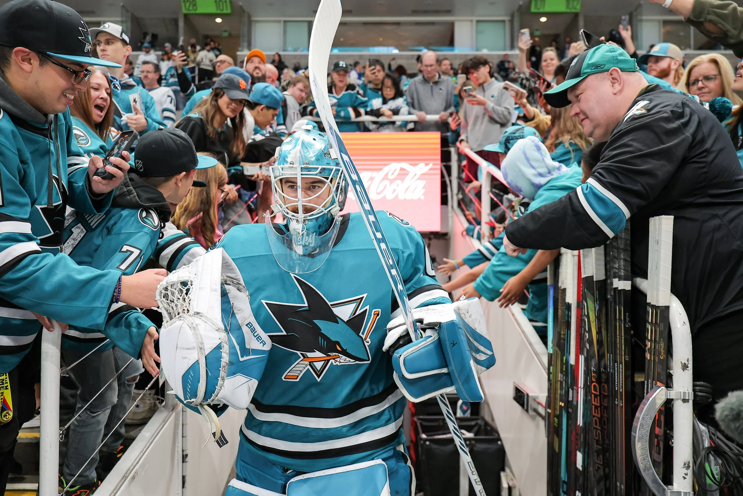 2526_sharks_best01.JPG