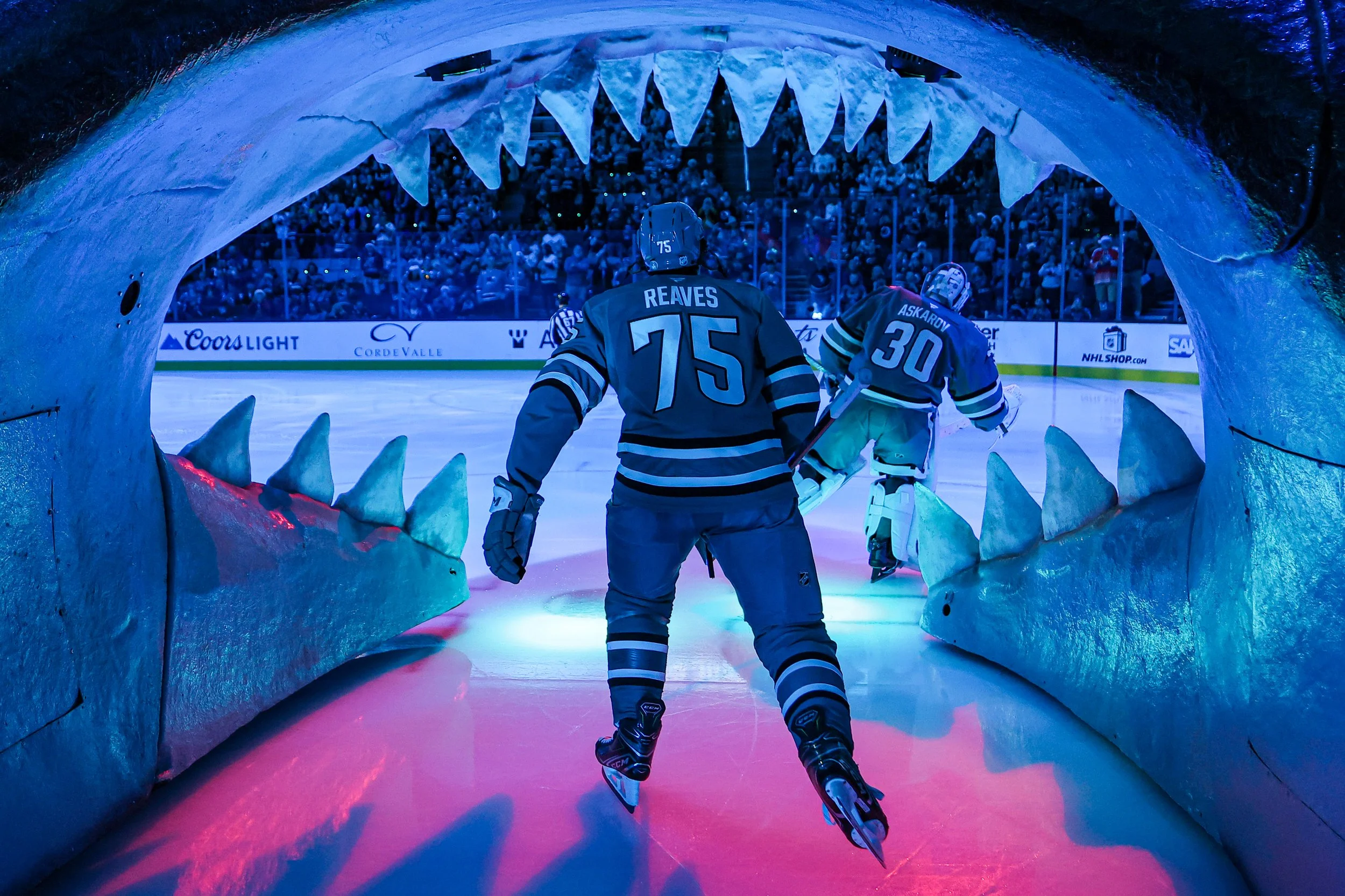 2526_sharks_best21.JPG
