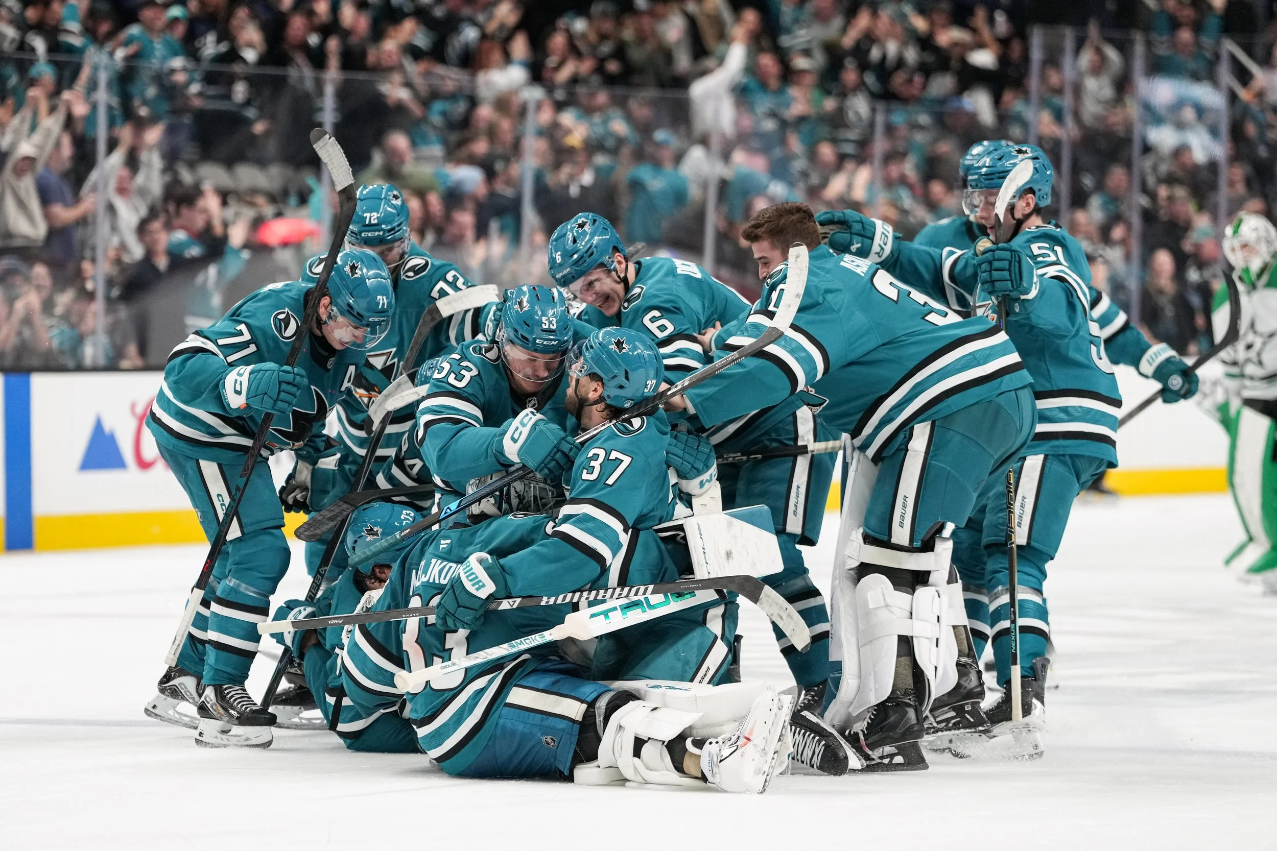 2526_sharks_best28.JPG