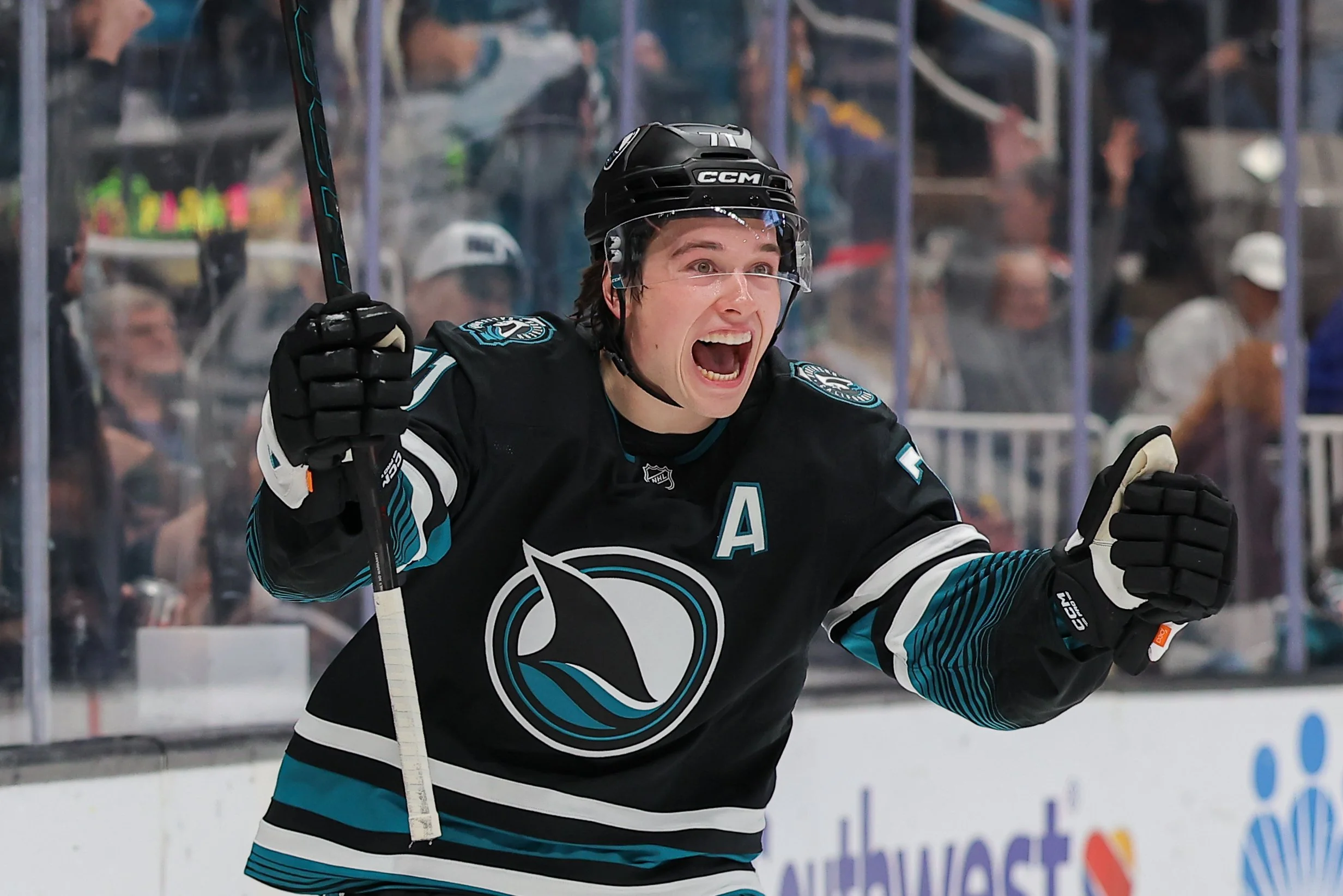 SAN JOSE SHARKS & SAN JOSE BARRACUDA