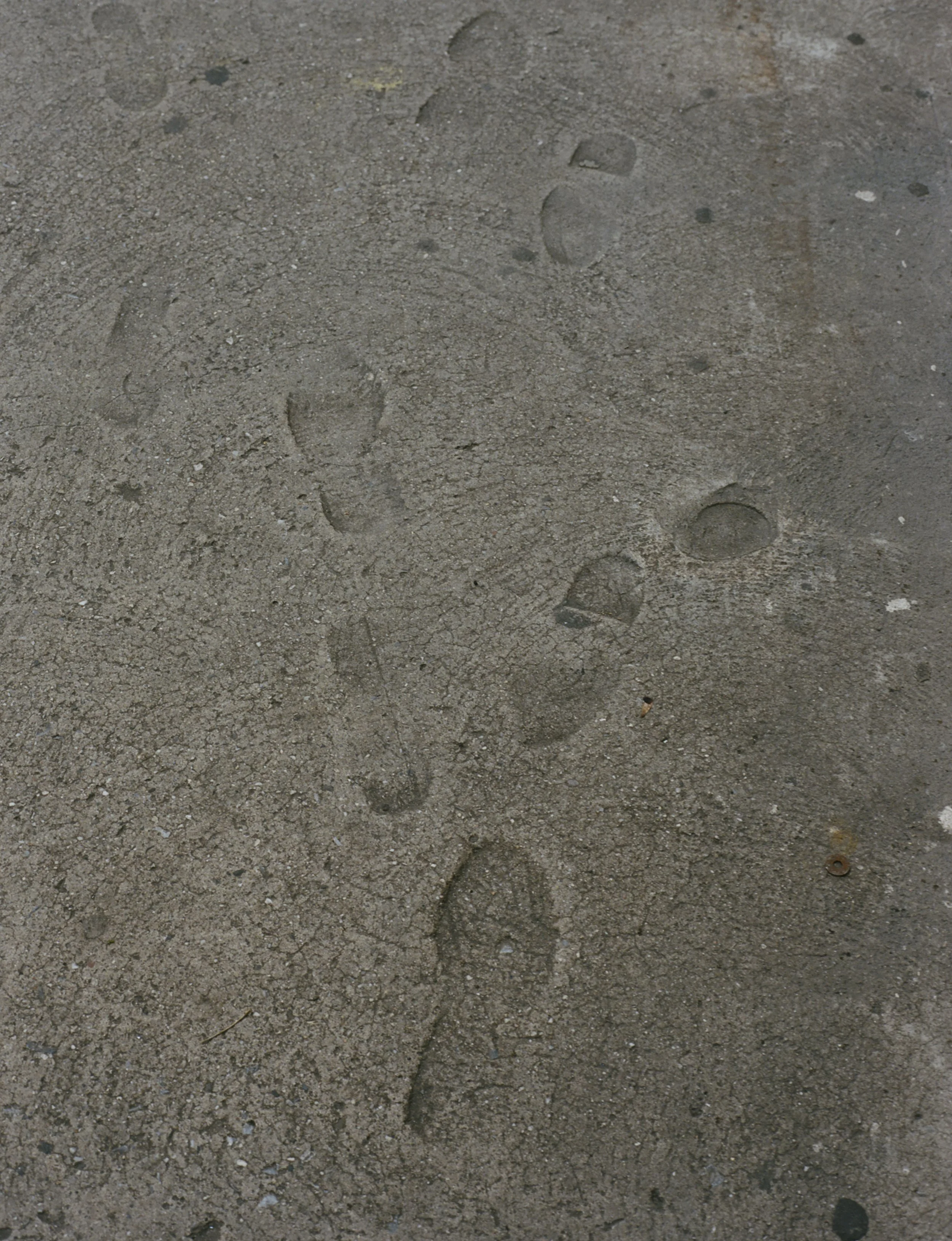 73509_RCO_002_15.jpg