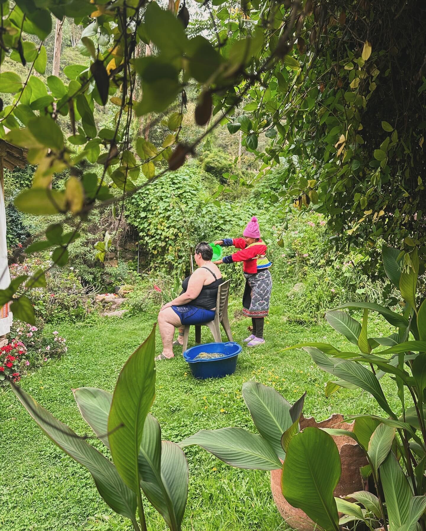 Before each ceremony, each participant receives an intentionally-selected medicinal floral bath by our Maestras. In the Shipibo tradition, it is believed that these plants help to bridge the medicine of Ayahuasca to our bodies, preparing us for profo