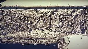 Chainsaw serial number recovered