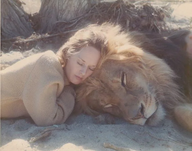 Tippi with one of the lions