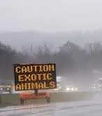 warning to motorists