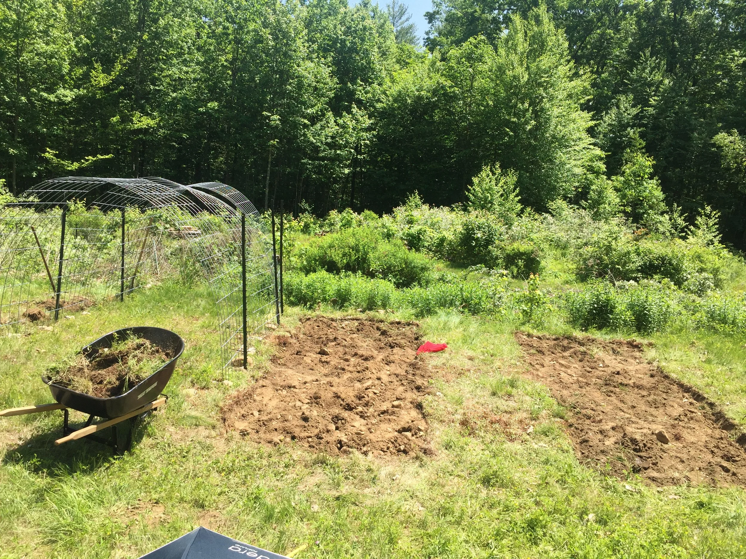 Hugulkultur Bed Install Early June 2020 - Digging out sod, 6-8 inches deep, saving sod for later