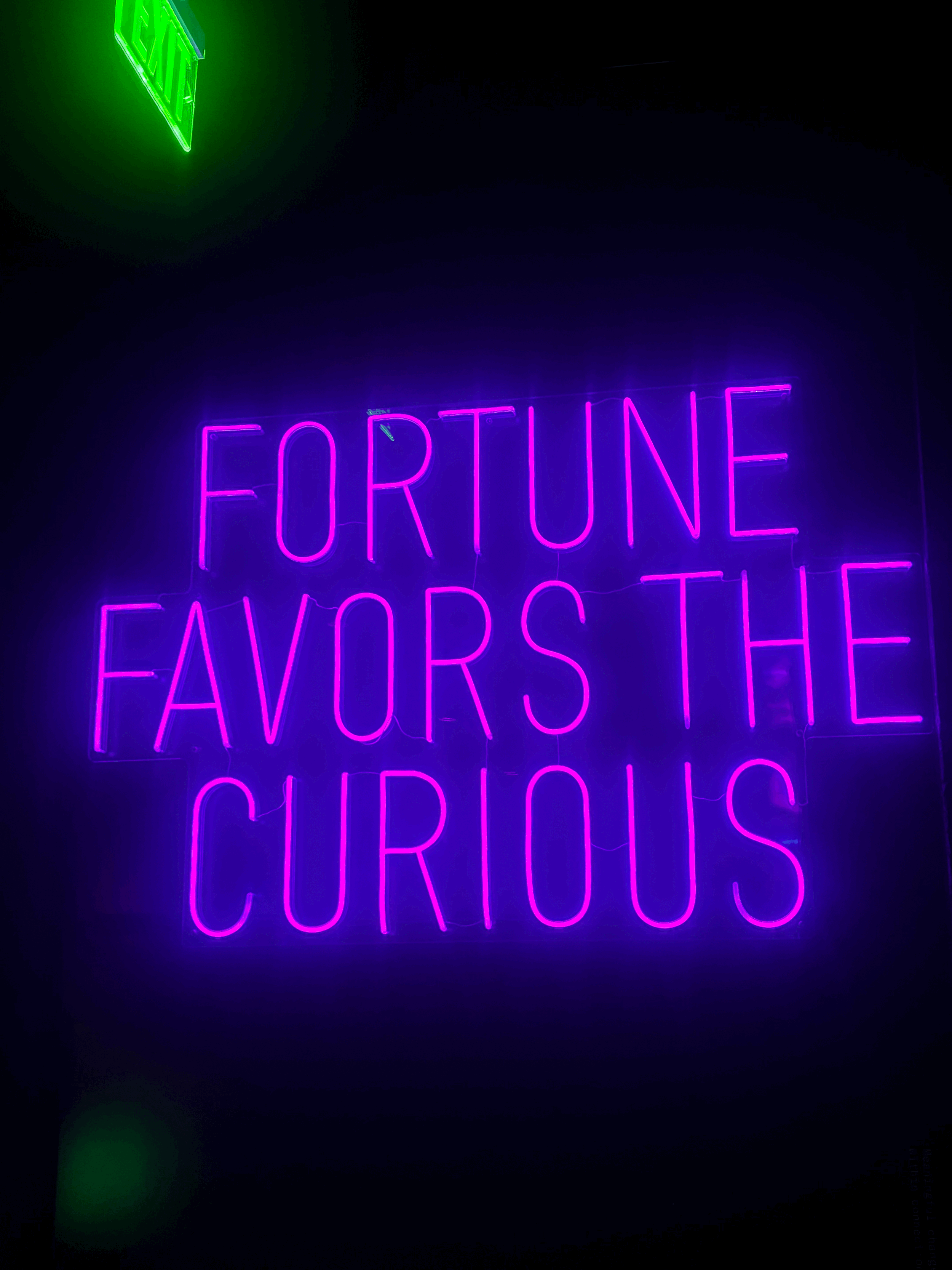 Fortune Favors the Curious