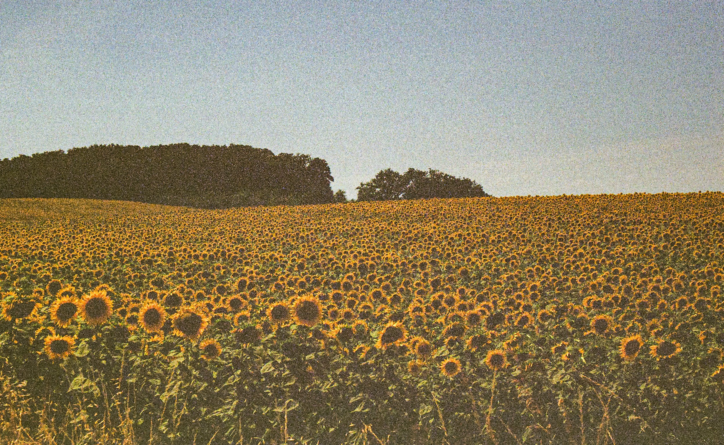 003480310028.jpg