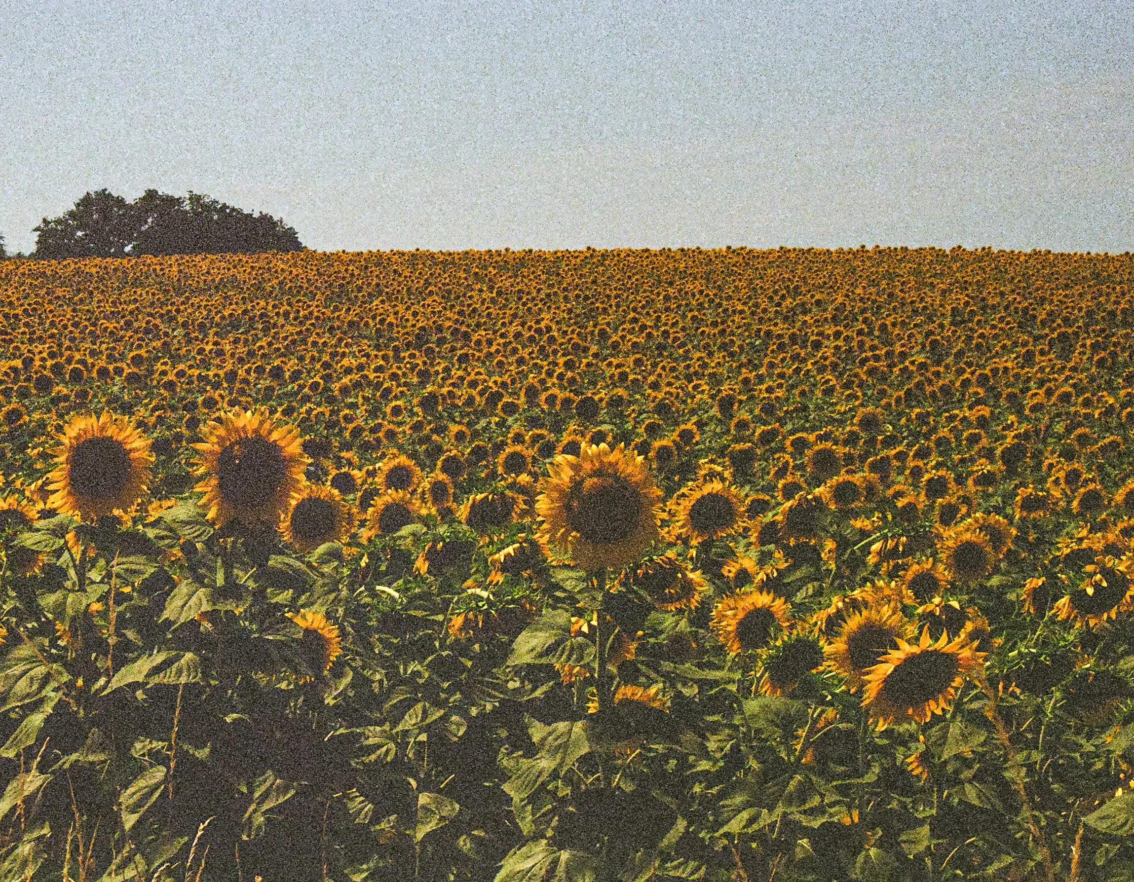 003480310029.jpg