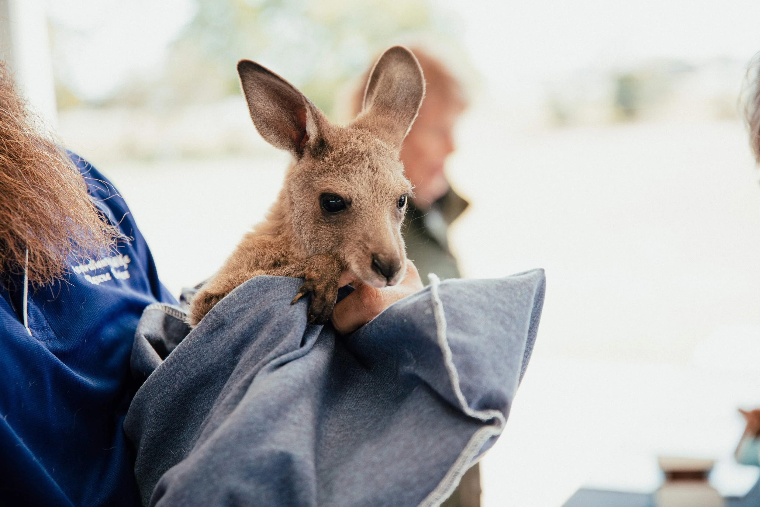 Photo Resizer 2021_06_25_06_19_10.jpg
