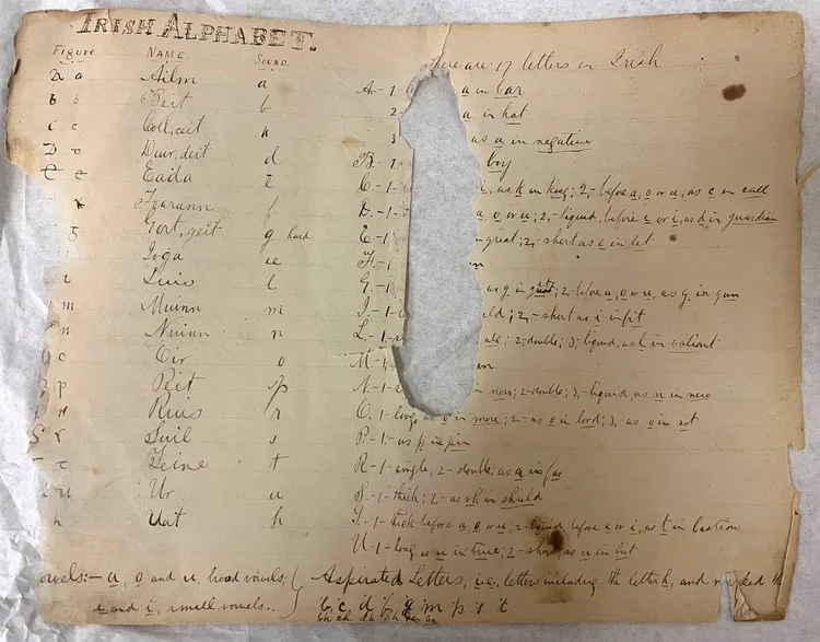 WHAT IS IRISH visual data 8