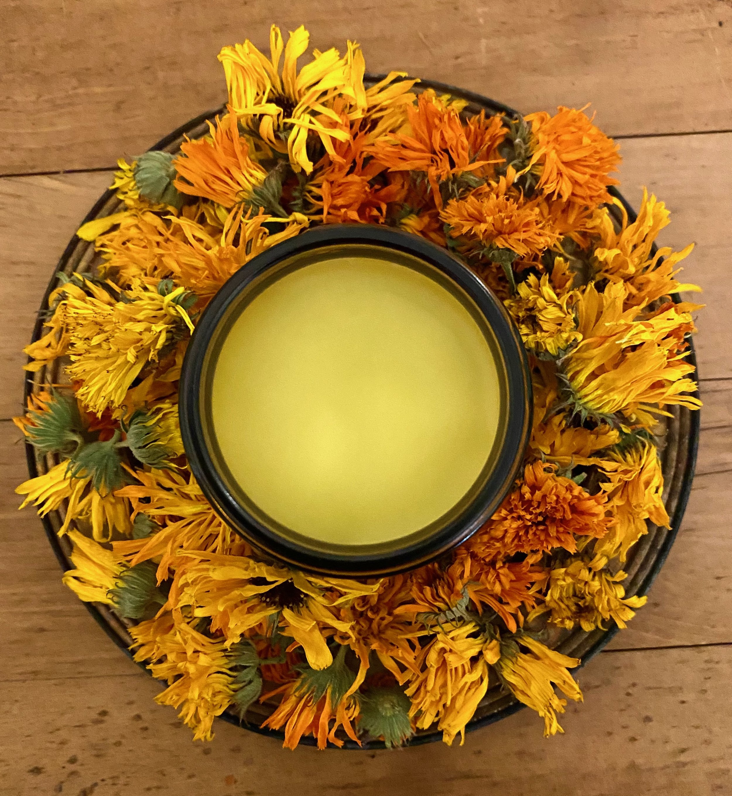 Calendula - 1 (8).jpeg