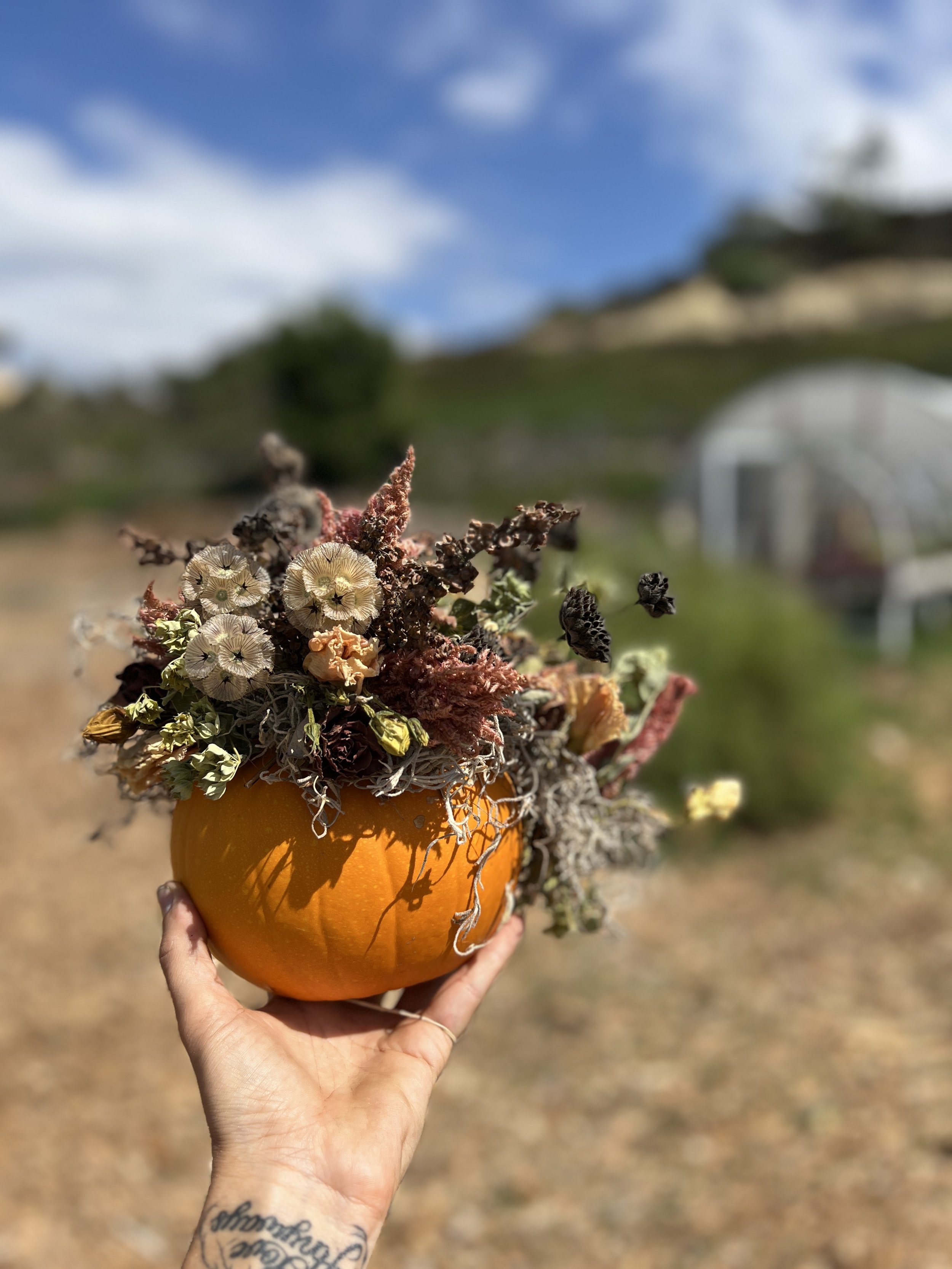 Autumn Days: Oct. 31st
