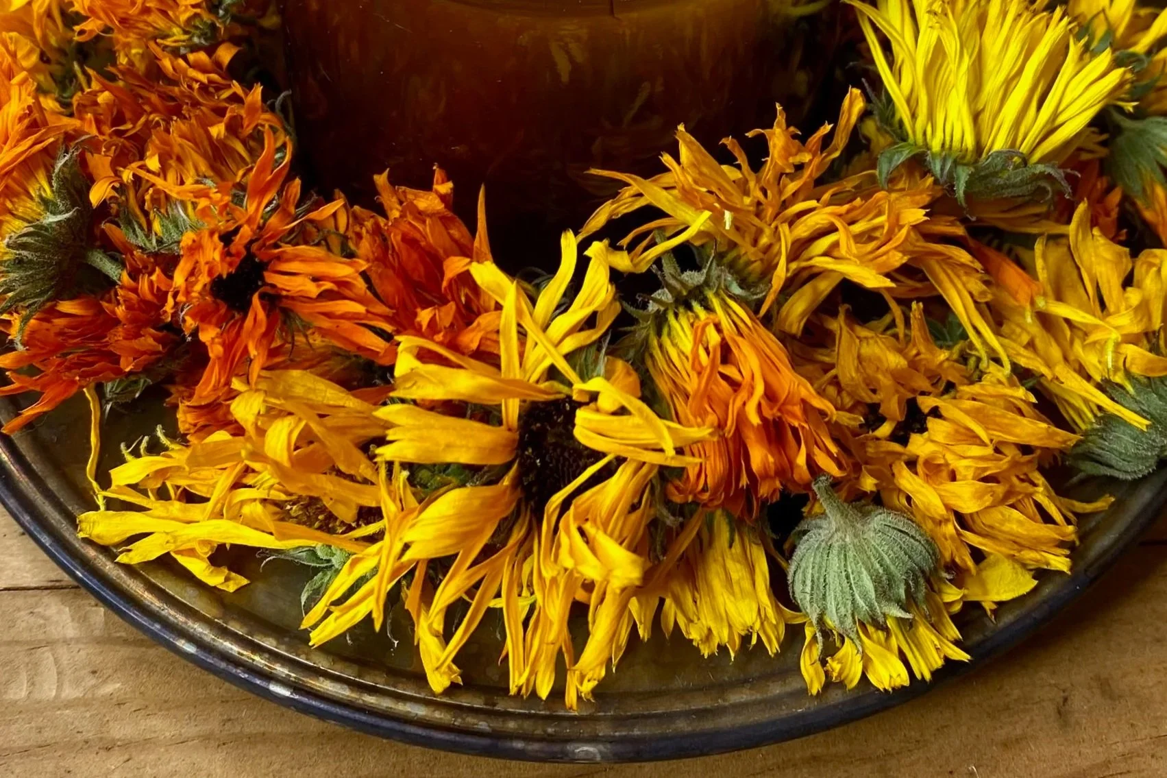 Calendula+-+1+%287%29.jpg