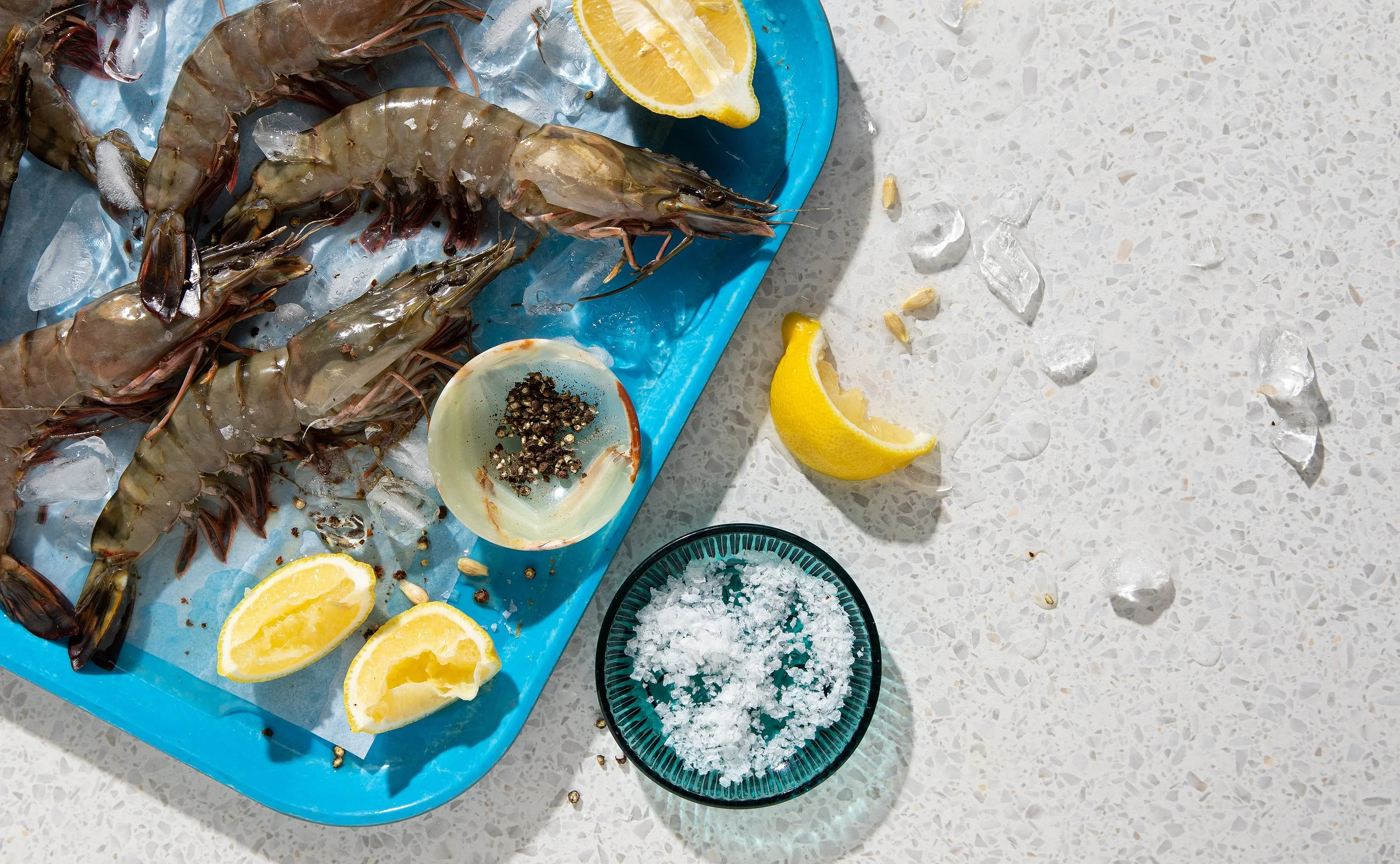 TITLE - FISH (HERO).jpg