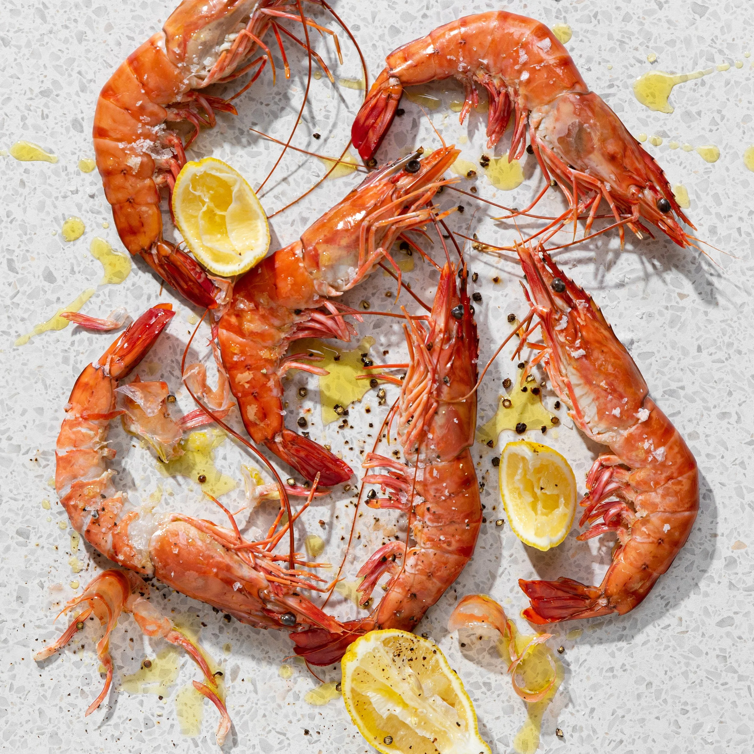 TITLE - FISH (ALT)crop.jpg