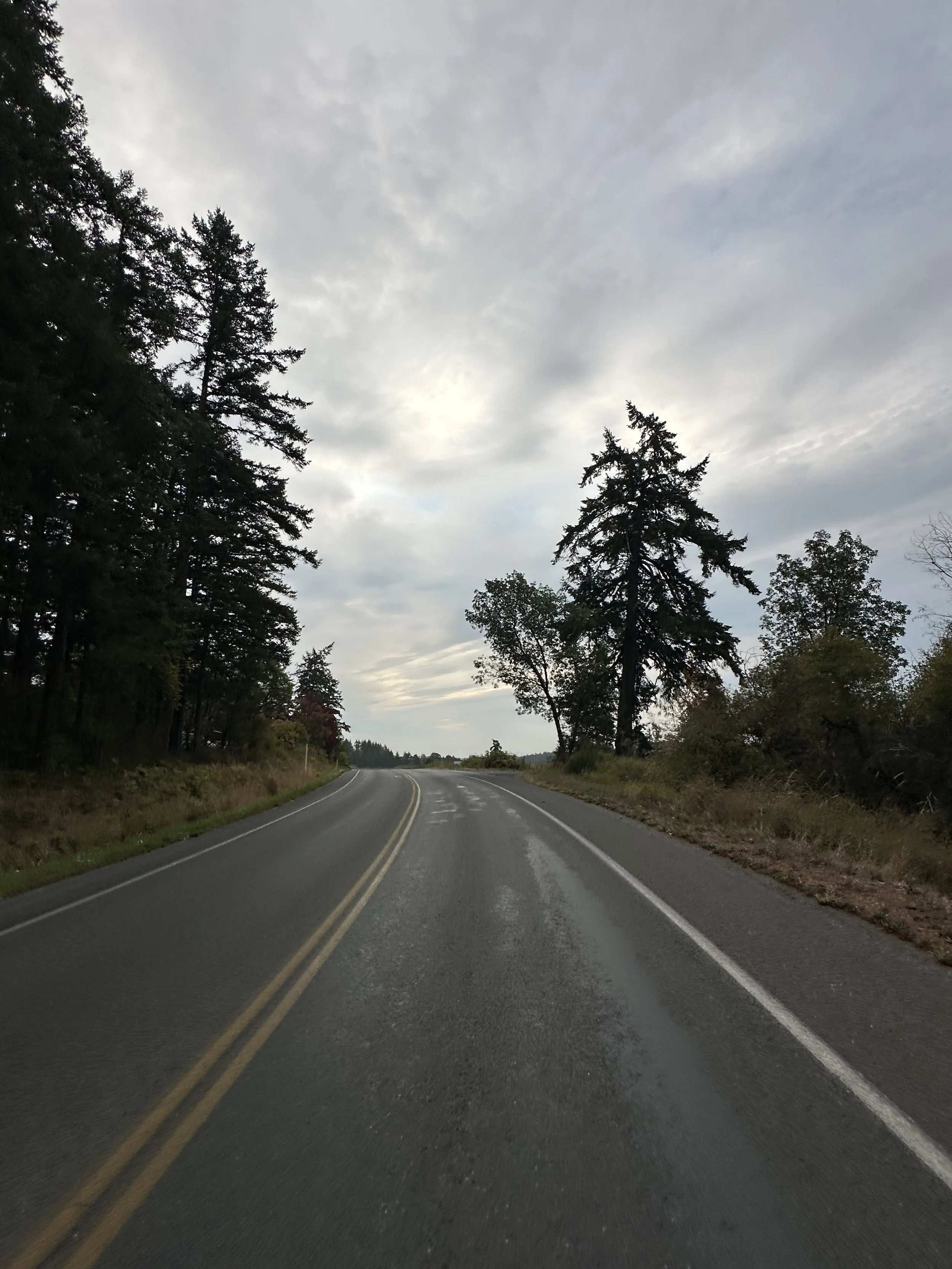 Road.jpeg