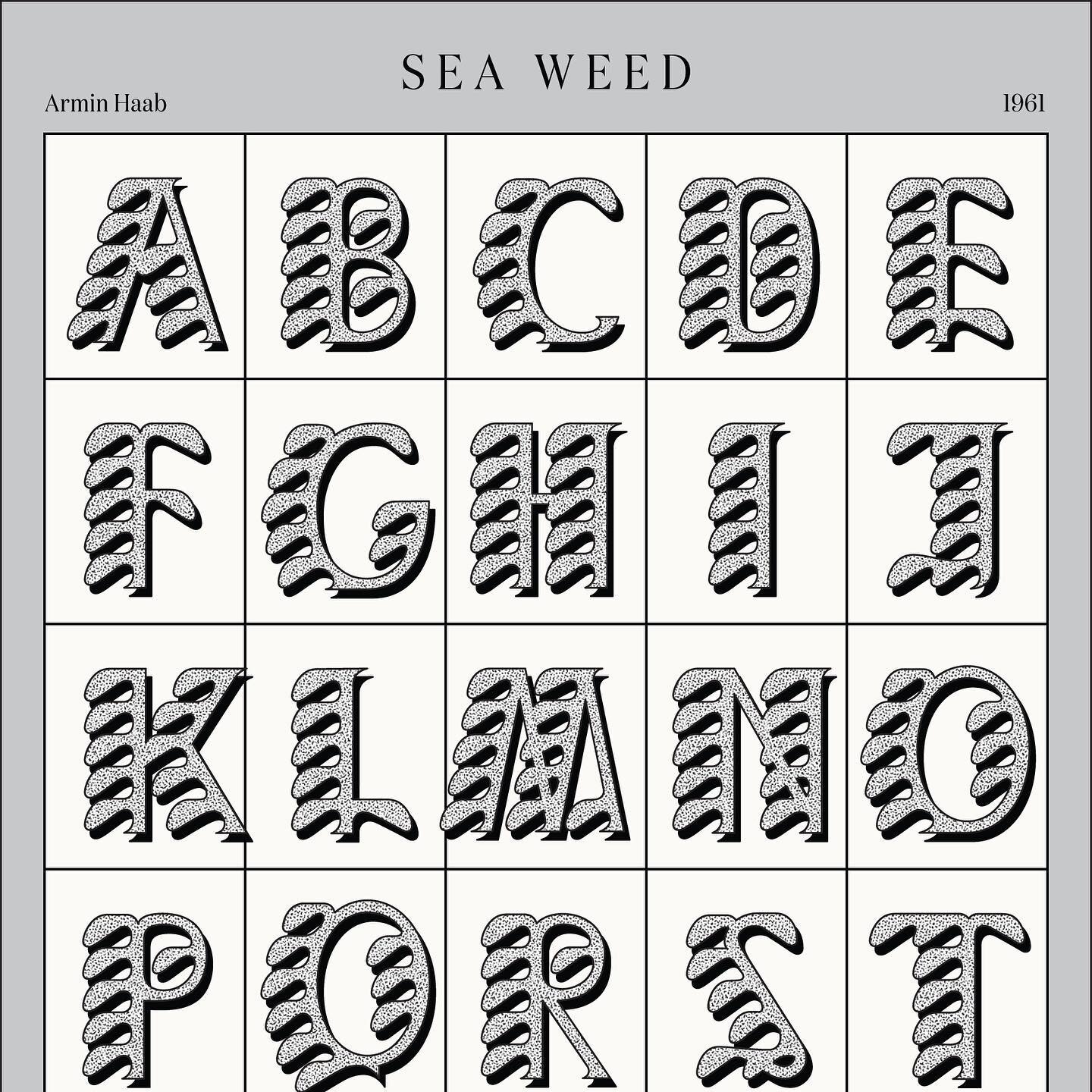 A rare and antique font I had digitized and can&rsquo;t wait to use for something. Sea Weed by Armin Haab.

#tattoo #tattoos #tattooing #traditional #traditionaltattoo #traditionaltattoos #traditionaltattooing #blackline #oldschool #seattle #washingt