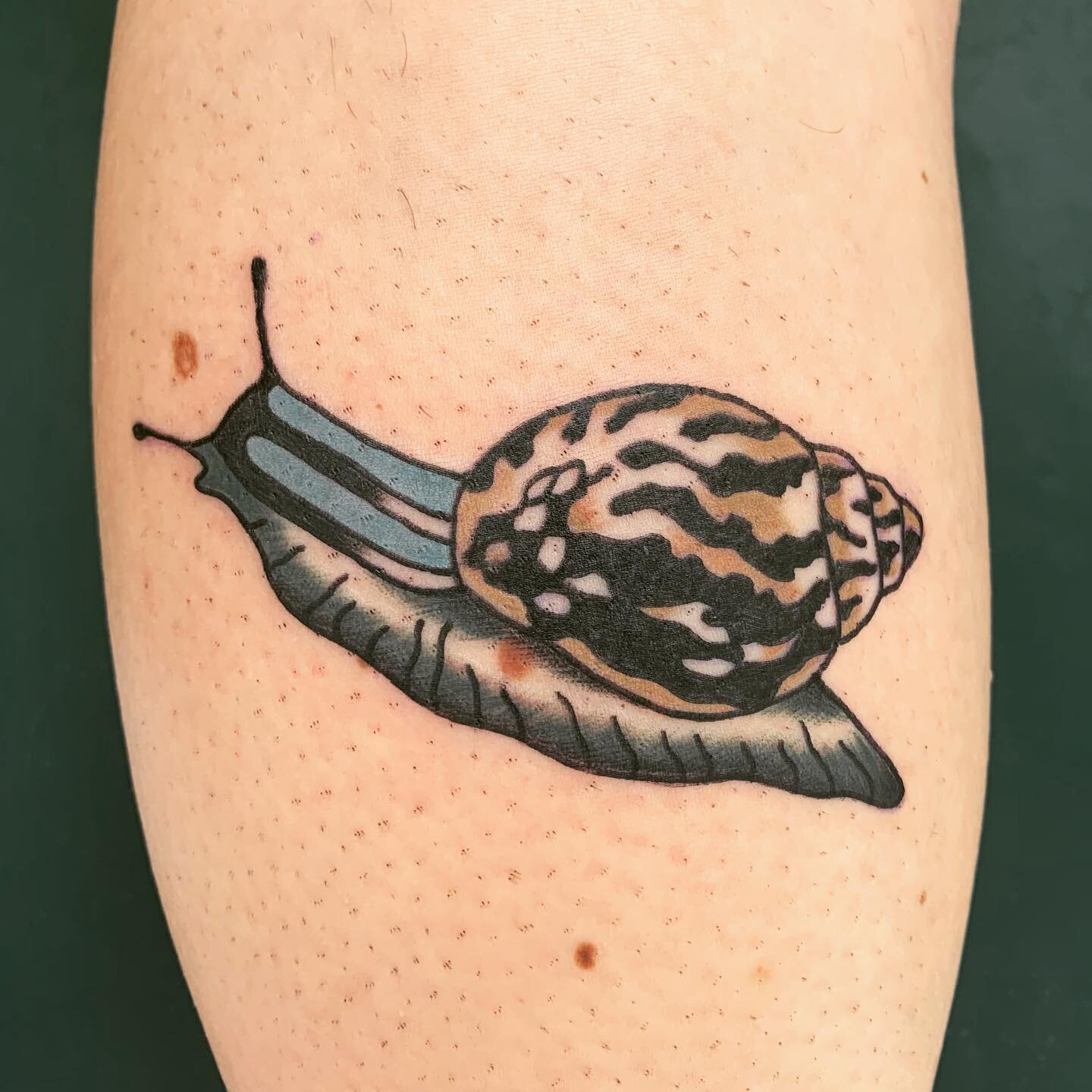 I only tattoo snails now. Thanks for coming through, Eileen!

#seattle #pnw #pacificnorthwest #seattletattoo #seattletattoos #seattleartist #seattlelife #portland #portlandlife #portlandtattoo #portlandartist #portlandtattooartist #bellevue #edmonds 