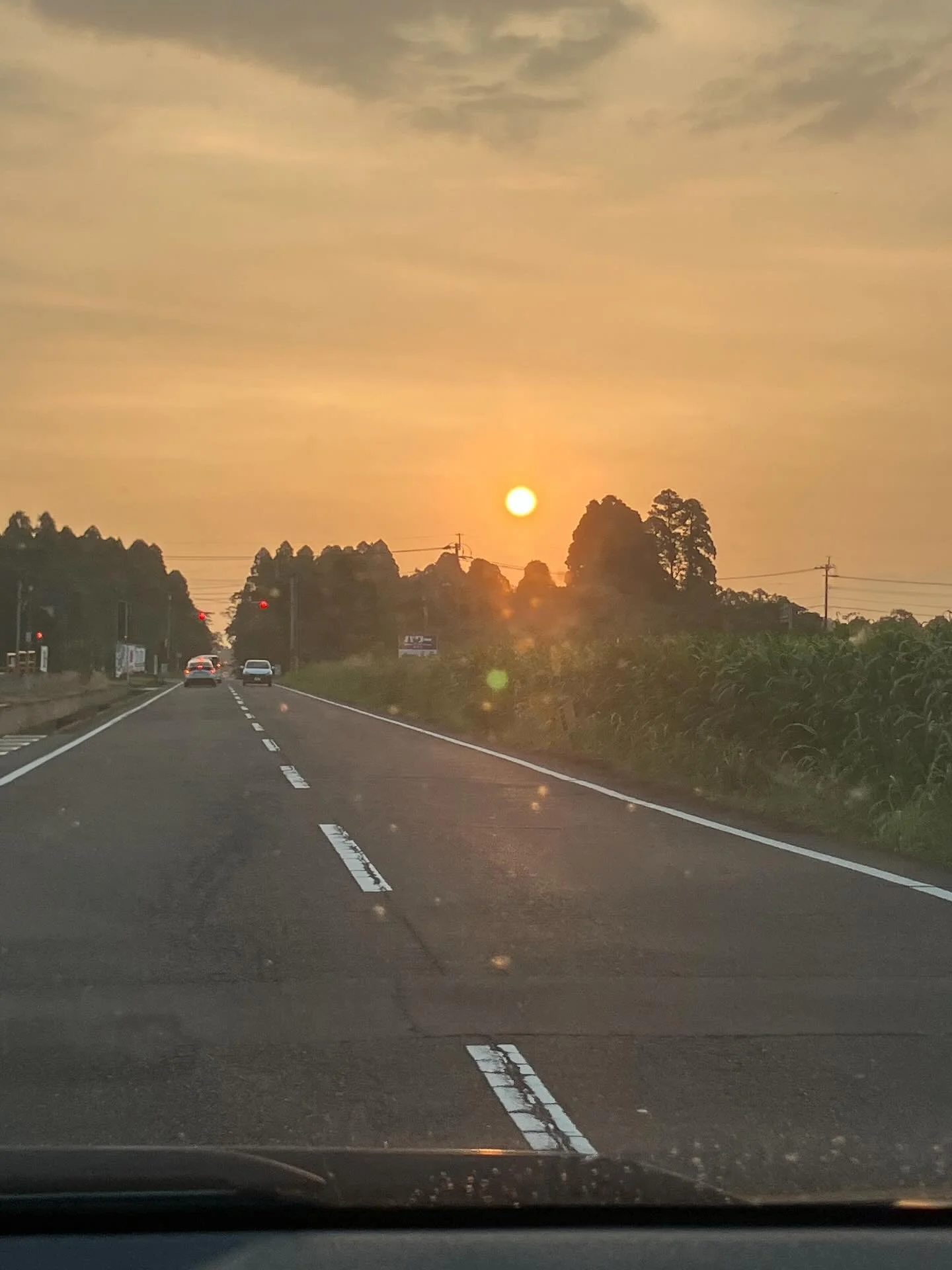 いつもは寝ぼけて起き上がる時間ですが、今日は空港に向かうために車を走らせていたら朝日を拝むことができました！いい日になりそう❤️
