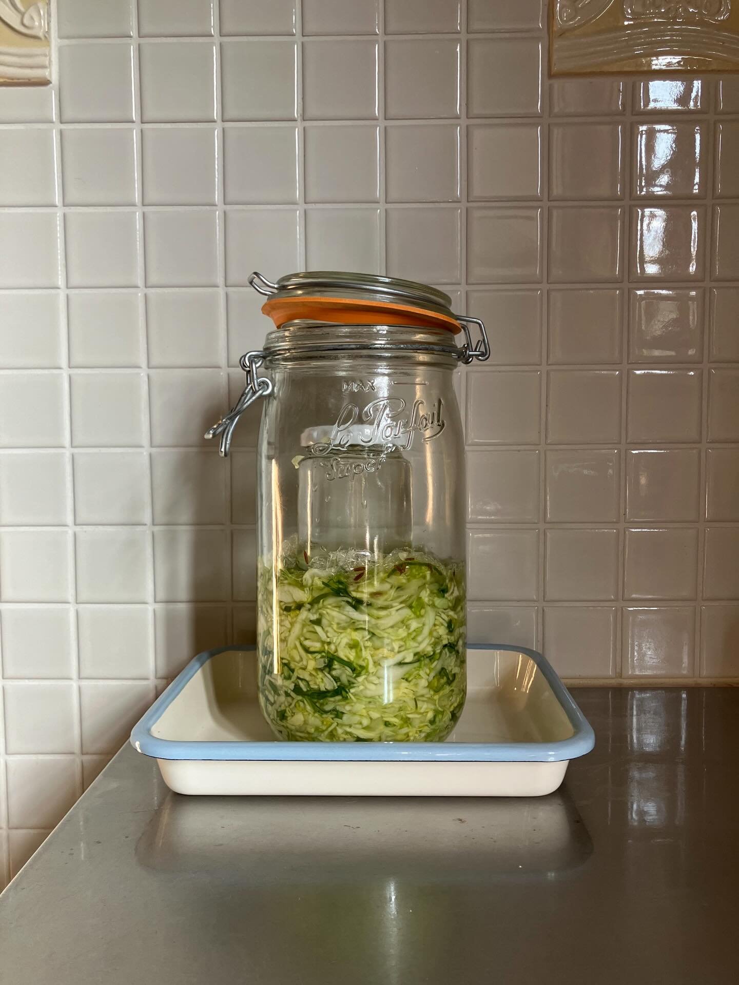 タニアのオンライン教室
日時: 2月21日（土）
時間: 10:00-11:30
メニュー: ザワークラウトの作り方と、その食べ方

今回はリクエストにお答えして、ドイツの伝統的な食品&rdquo;ザワークラウト&rdquo;をご紹介します。知っているようで知らないザワークラウト。日本ではキャベツの酢漬けと訳するため、ピクルスと勘違いされる方もおられますが、本来はキャベツを塩だけで揉んで発酵させた、伝統的な乳酸発酵食品なのです！
ビタミンCと食物繊維が豊富で、生で食べれば生きた植物性乳酸菌がとれ