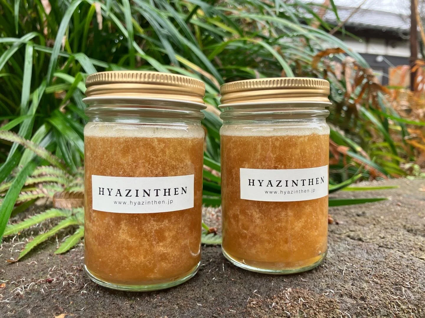 大隅半島の照葉樹林から集めた、日本ミツバチの&rdquo;生&rdquo;ハチミツです。
@hyazinthen.jp 
@kitada_sarugga 
にて発売中。今季最後となります。

養蜂家にハチミツを分けてもらう時 &ldquo;生&rdquo;とお願いしないと、火入れされたハチミツが届きます。
それではせっかくの栄養素が失われてしまいます。管理には神経を使いますが、非加熱、無添加にこだわっています。生ハチミツは暖かい場所に置くと発酵することがあるので、瓶は上まで詰めず、少し空間を空け