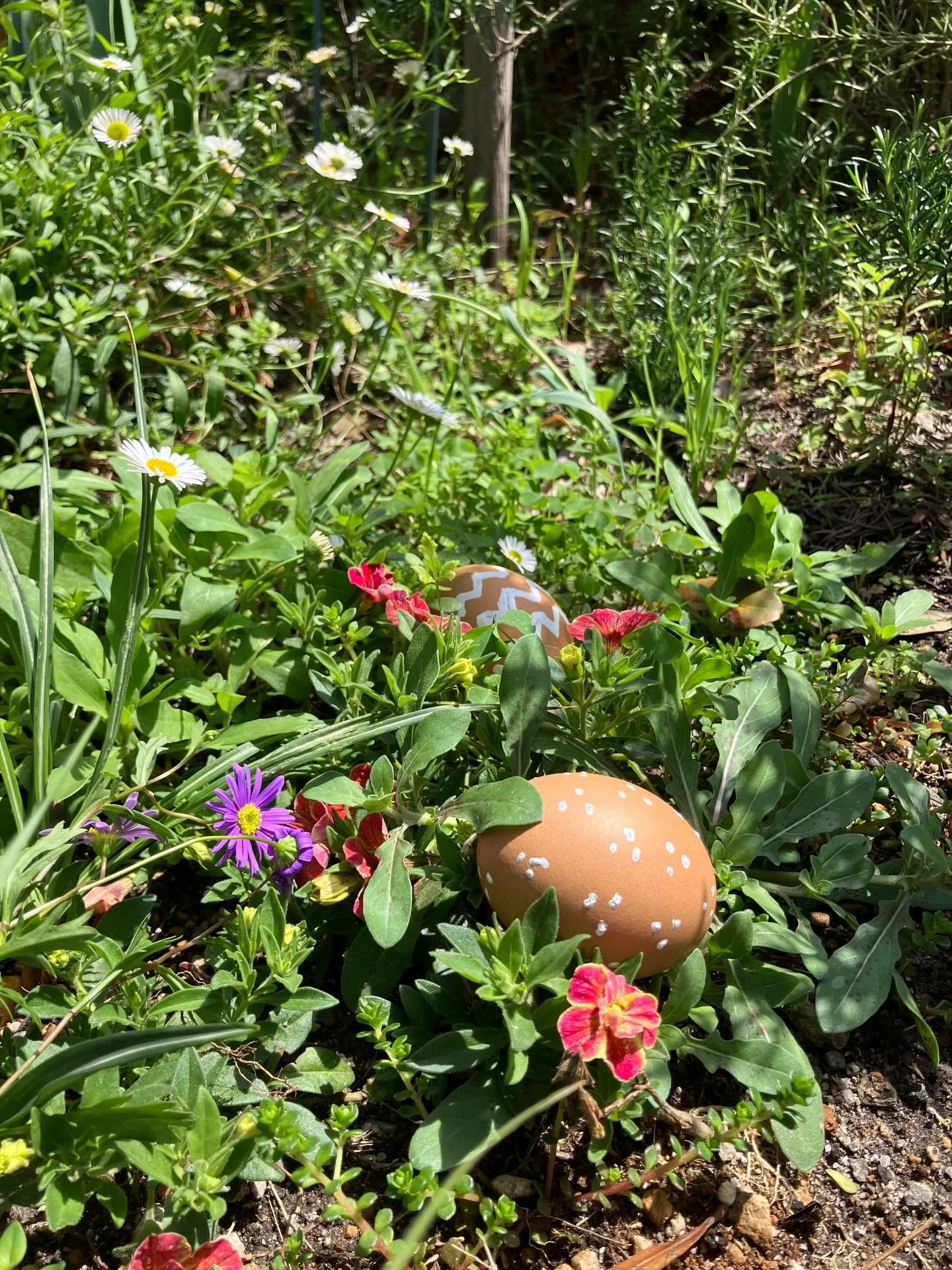 Frohe Ostern! 
シャクナゲが咲き始めると春の訪れを鮮やかに感じます。お庭の雰囲気が一気に明るくなりますよね。皆様も心地よい休日をお過ごしください。
紅甘夏、金柑、タンカンのマーマレードも完成しました。近いうちに販売が始まりますのでお楽しみに😊