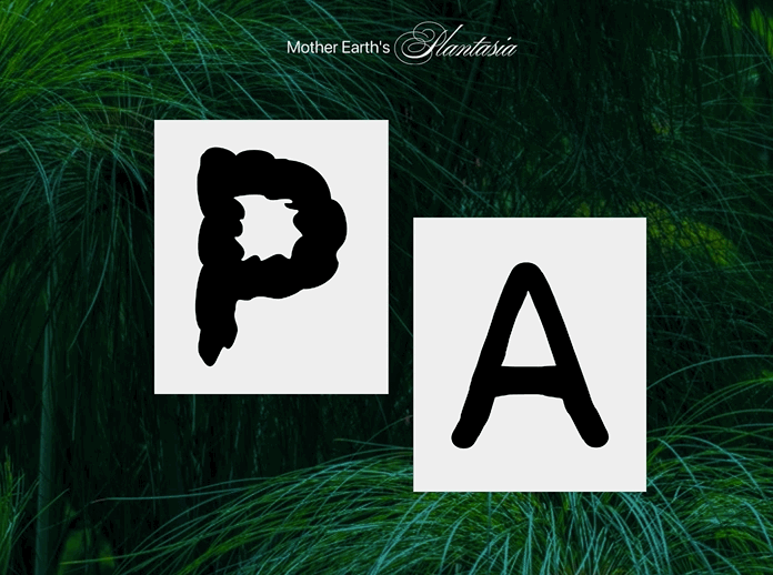 Oct-21-2024 10-09-39.gif