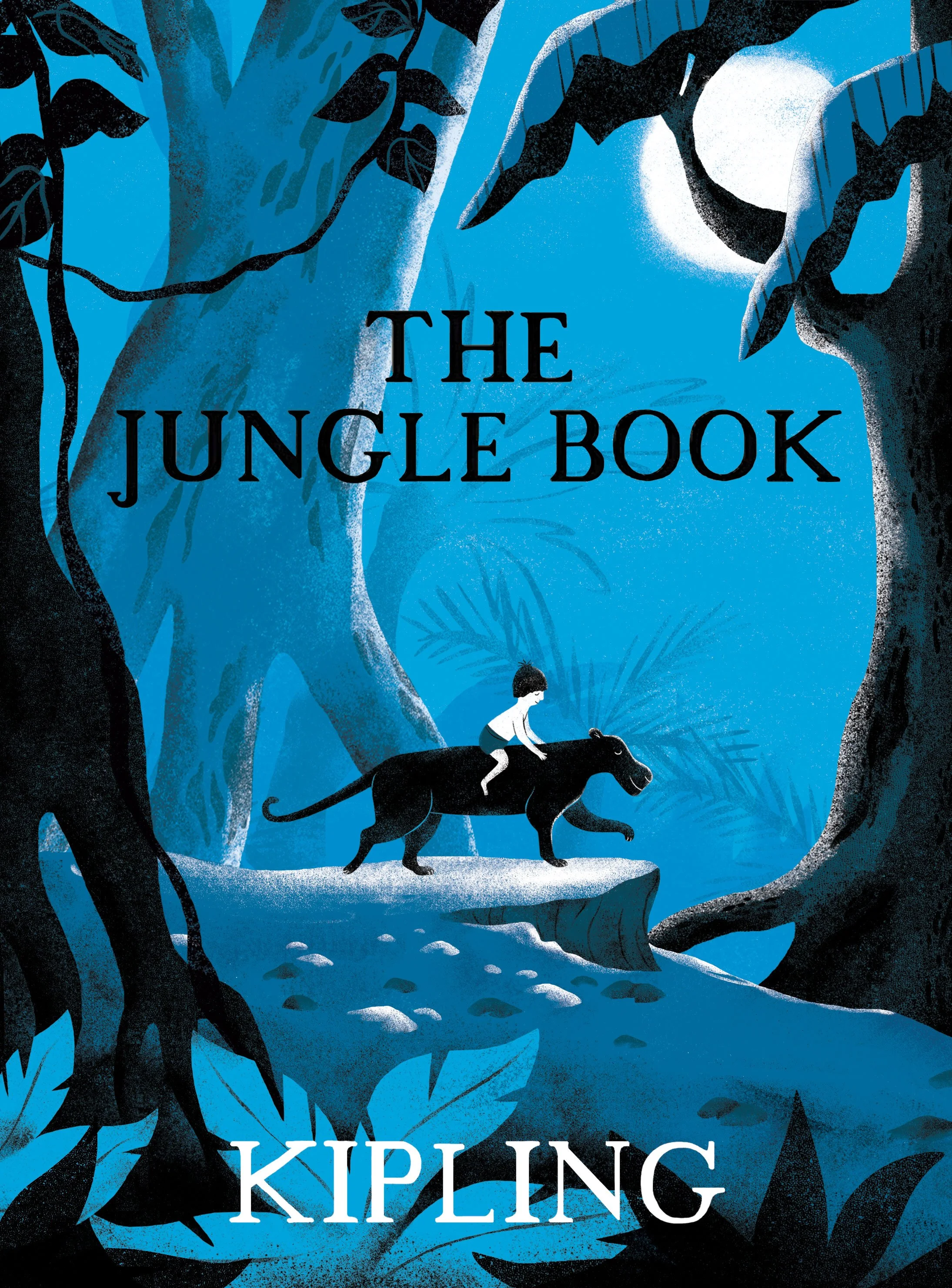 Speculative Cover, 2021