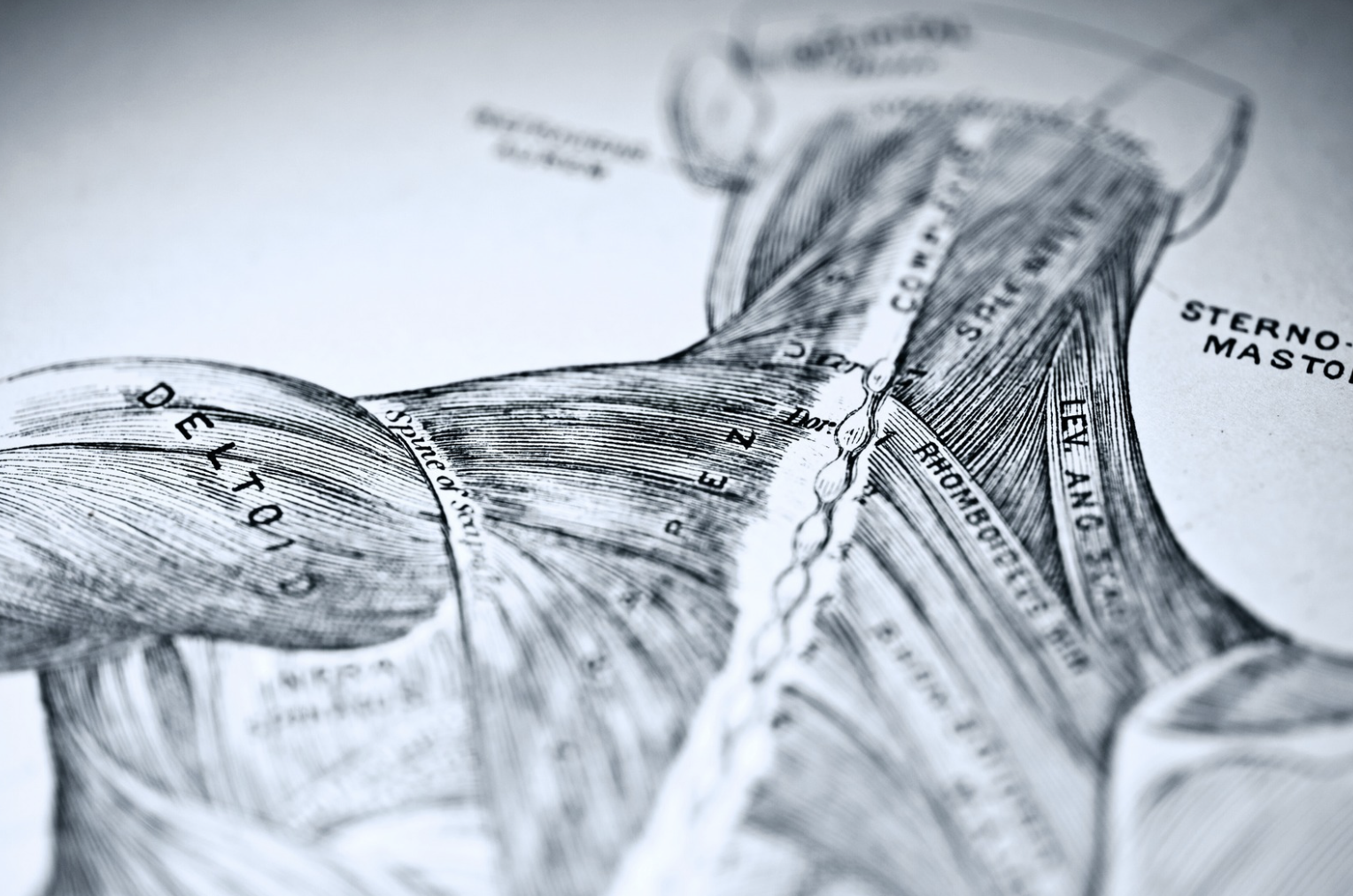 Stolz. Wenn etwas gelingt.