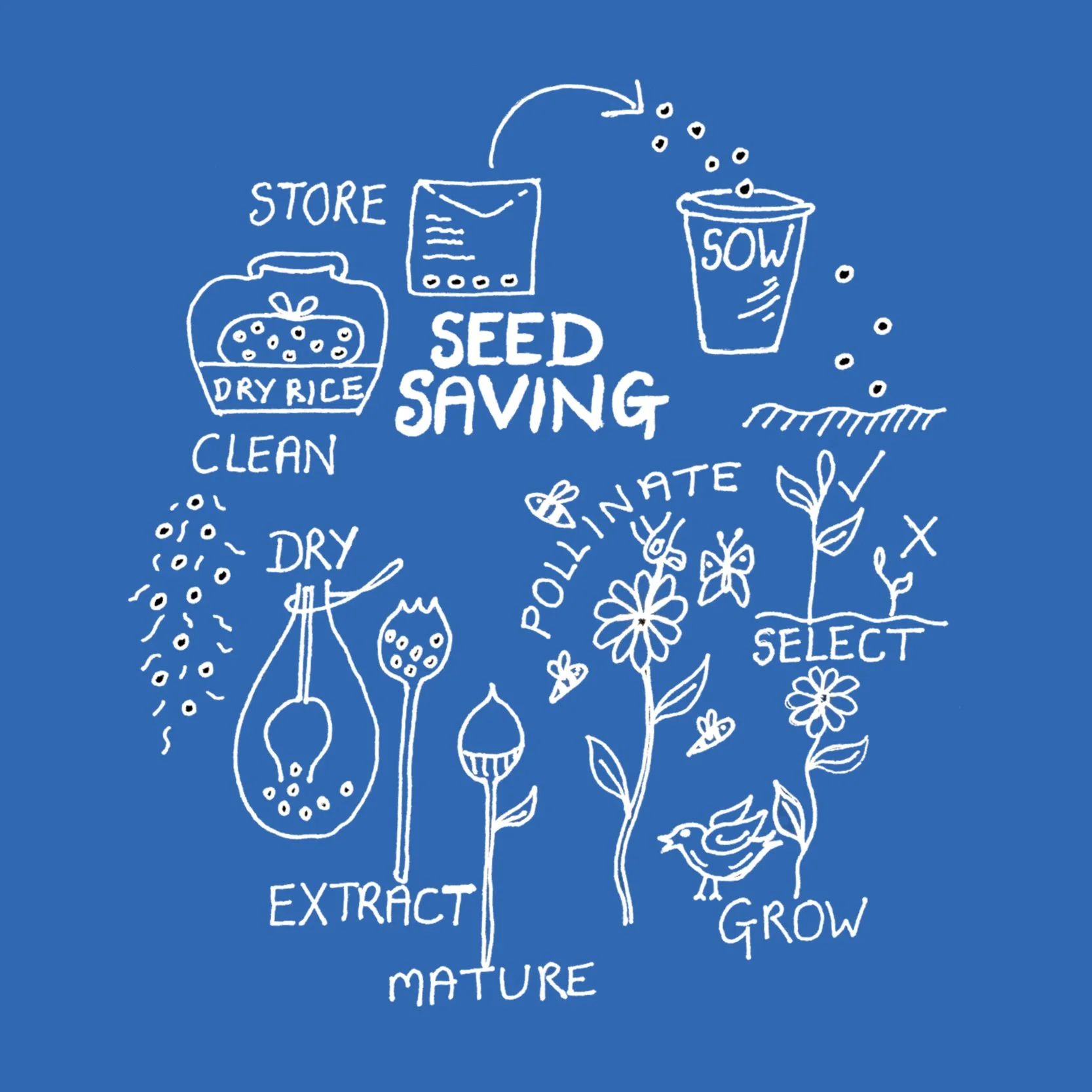 Seed Saving Workshop