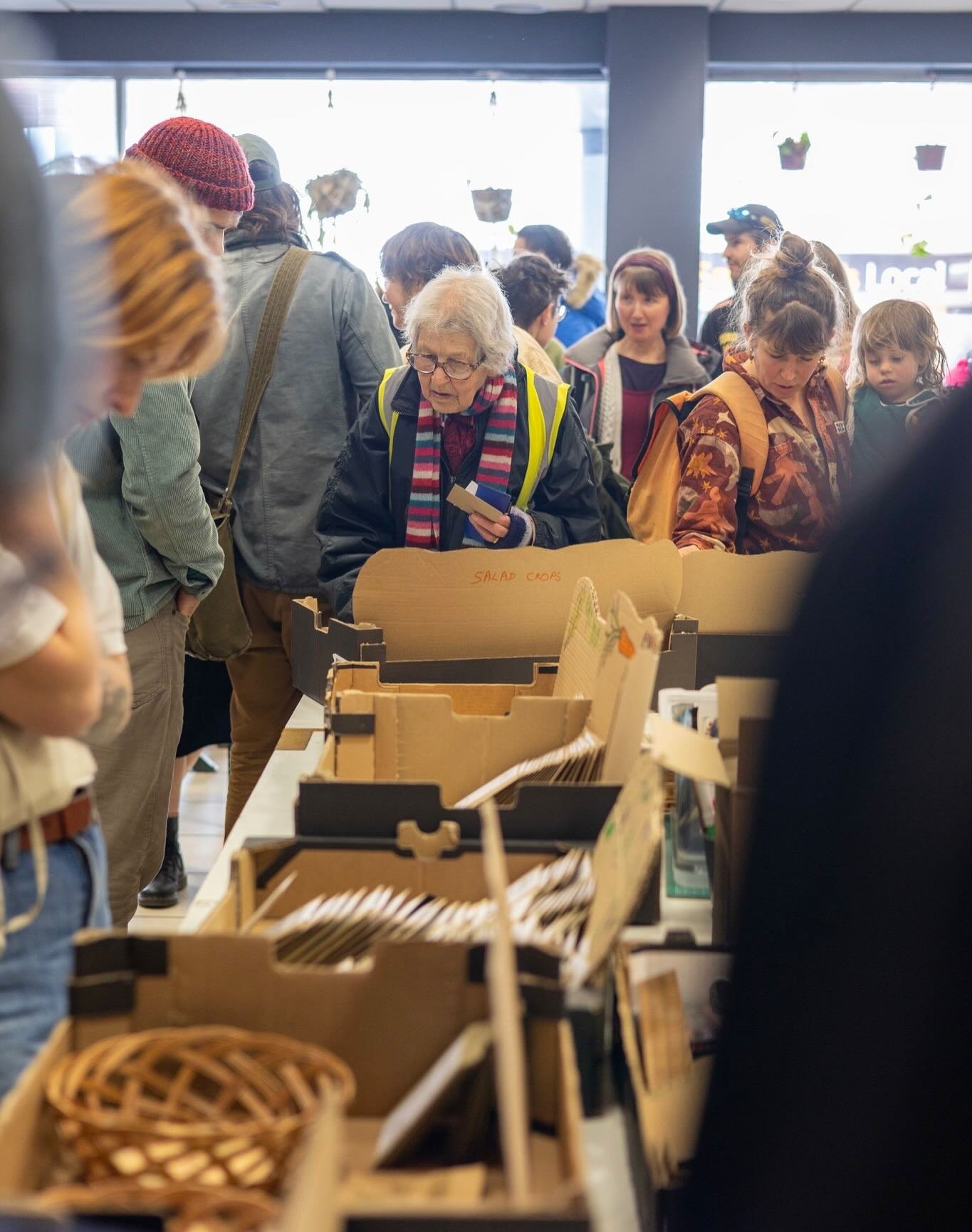 Exeter Seed Swap 2026: Celebrate Seeds, Soil &amp; Community