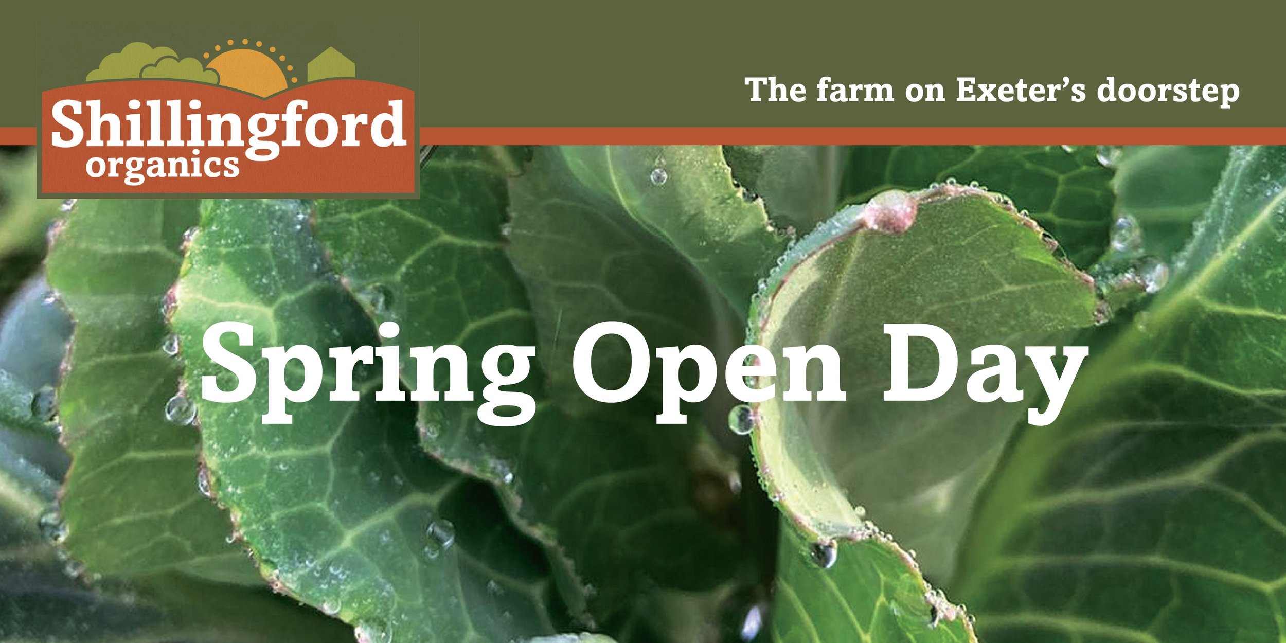 Spring Open Day at Shillingford Organics with Exeter Seed Bank