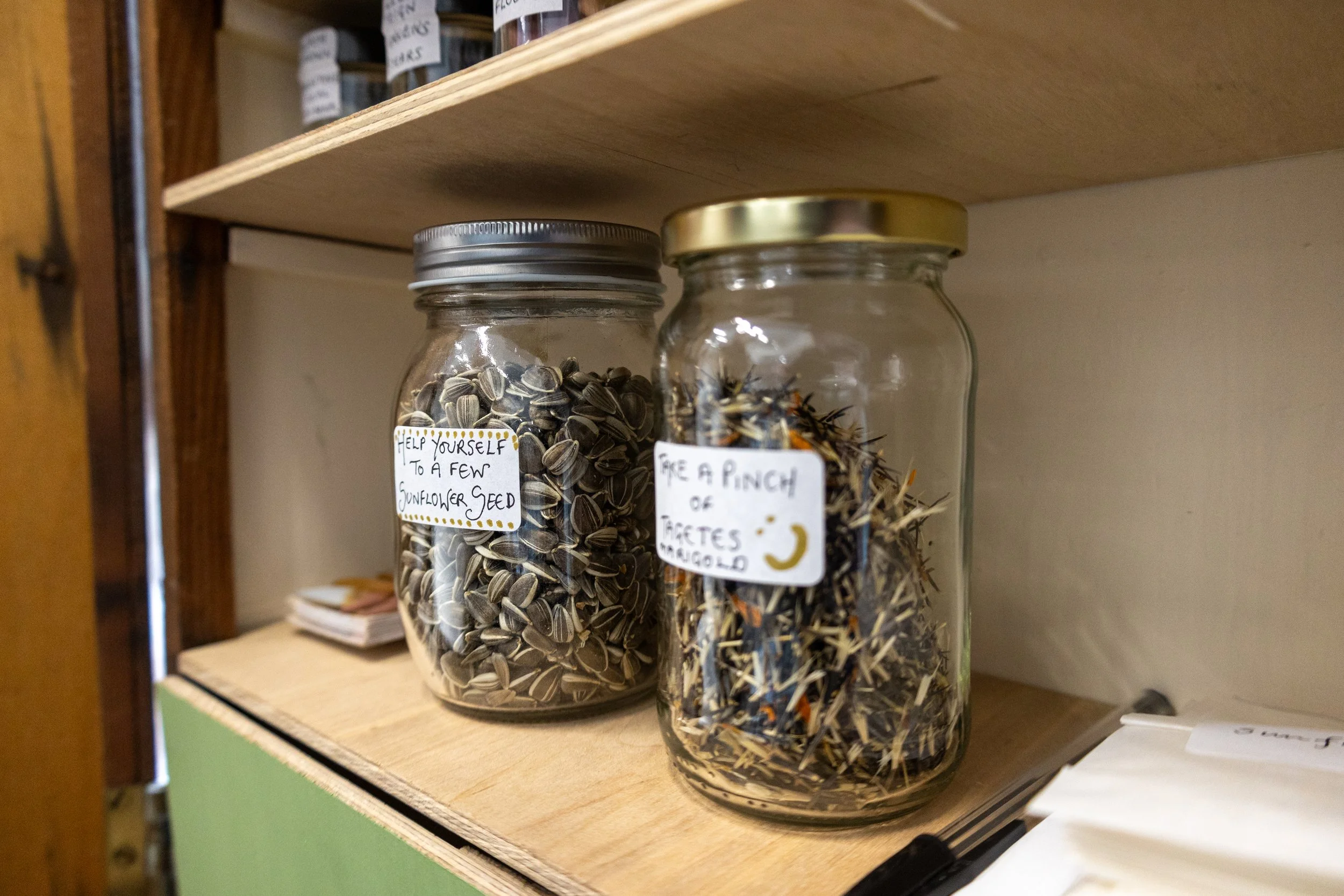 ESB Touring Storied Seed Library-31.jpg