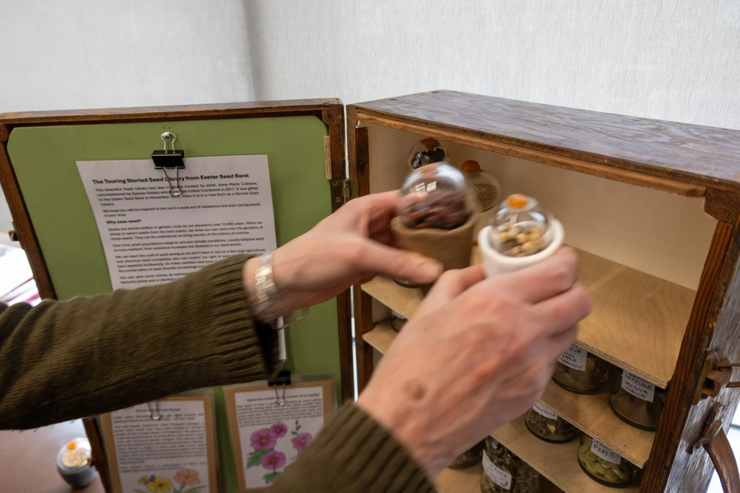 ESB Touring Storied Seed Library-26.jpg