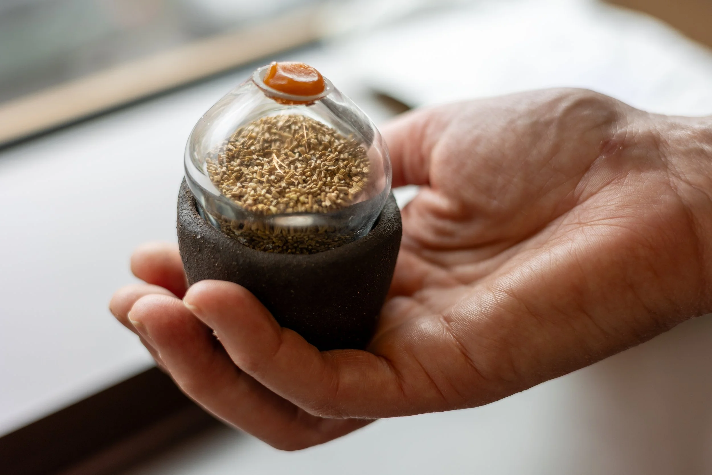 ESB Touring Storied Seed Library-3.jpg