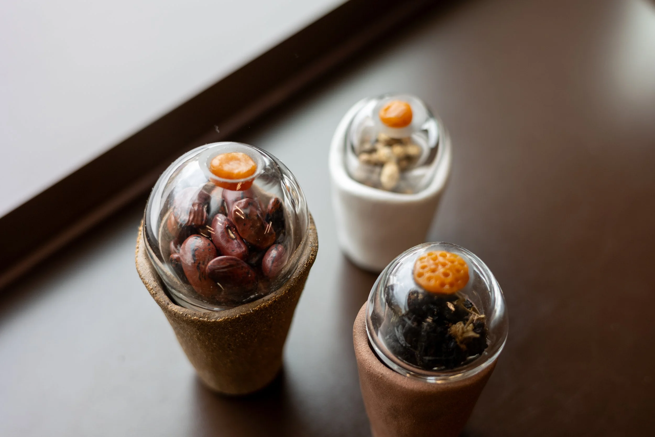 ESB Touring Storied Seed Library-2.jpg