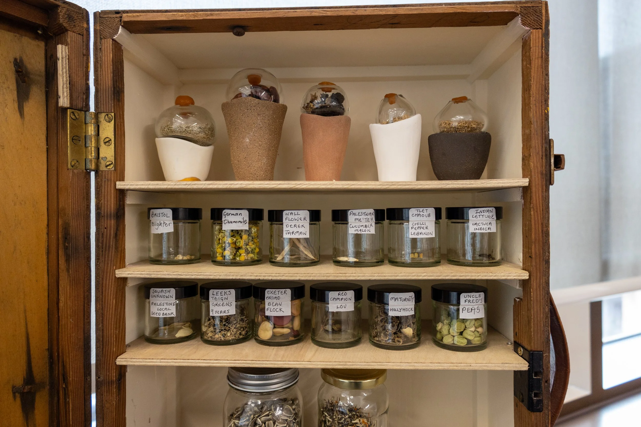 The Touring Storied Seed Library from Exeter Seed Bank