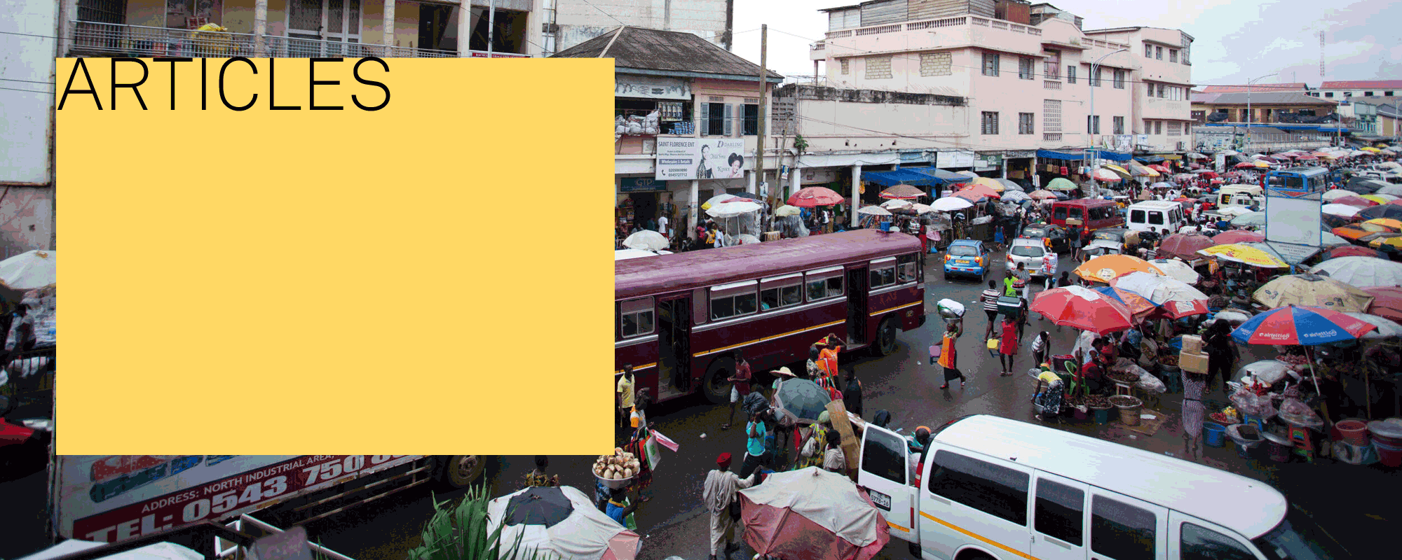 2020 African Futures Institute