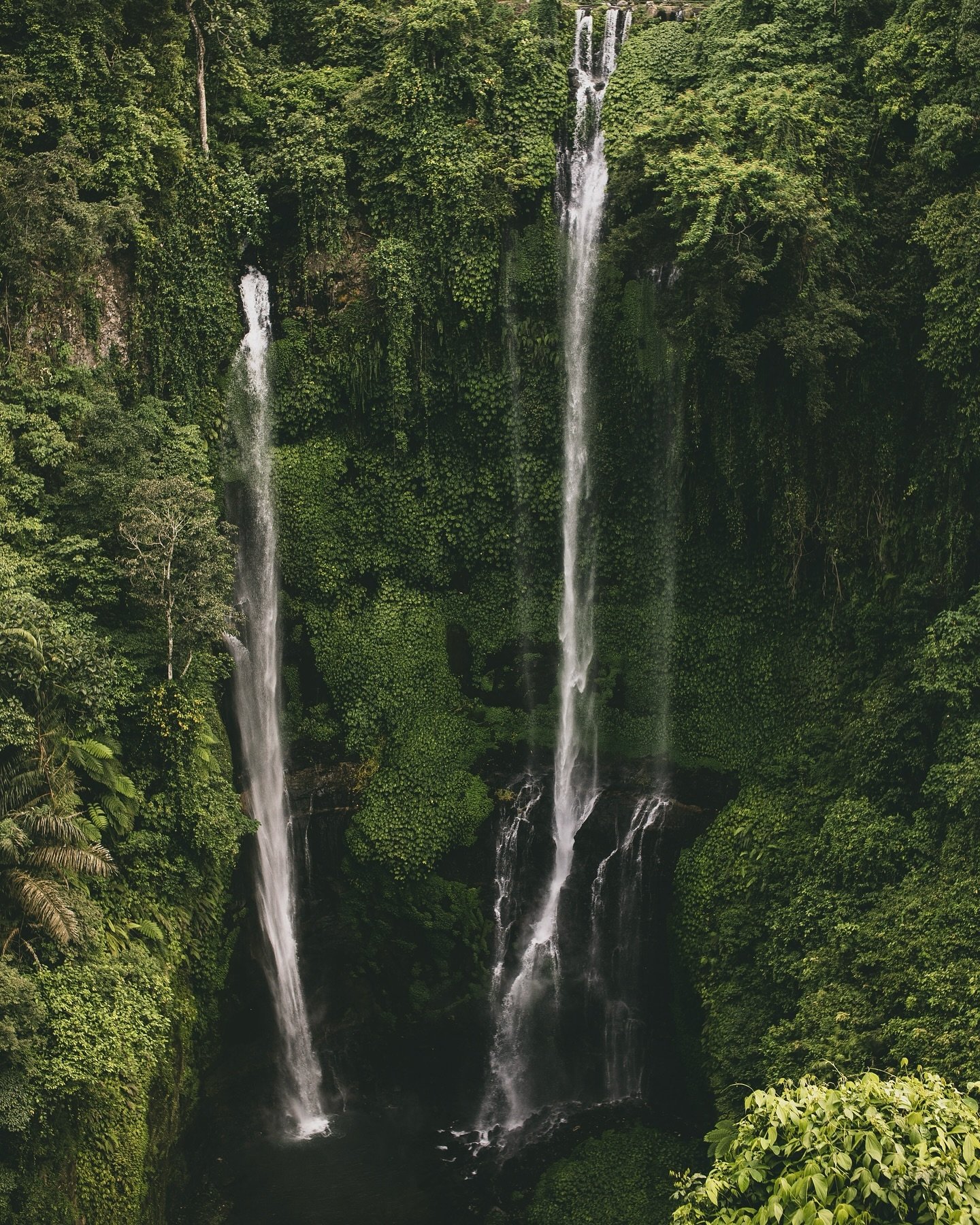 Hi friends 👋, we have questions❗️

What are your favorite waterfalls in Bali❓

And out of curiosity - does anyone know how many waterfalls there are in Bali❓

Have a great Saturday, everyone ❤️

#sulasurfbali #surflessonsbali #surftripsbali #explore