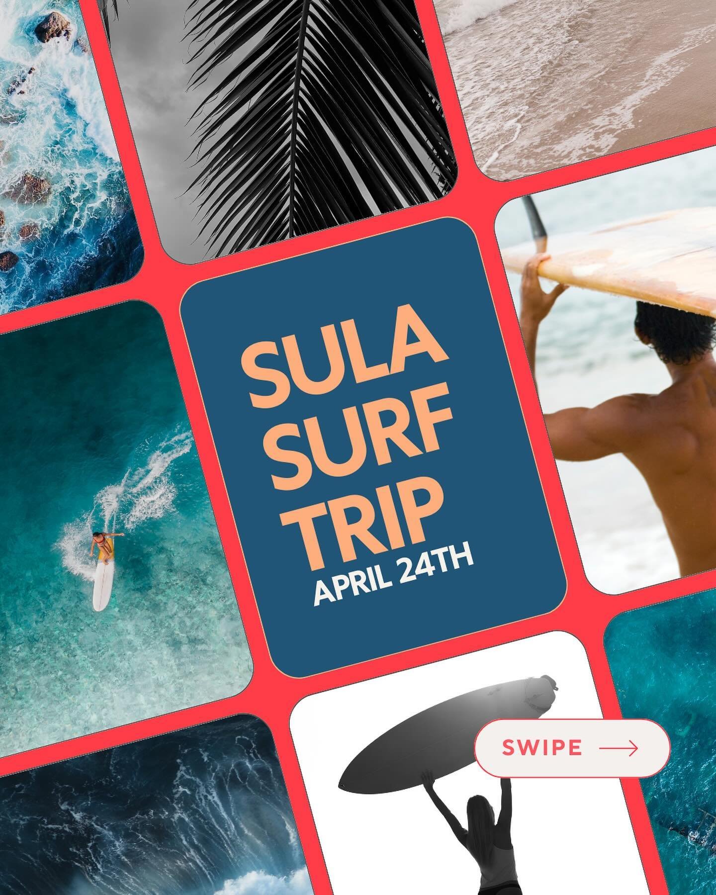 🚨Surf Trip - Short Notice - 1 Spot Left 🚨

Hi friends,

❗️For our surf trip 24th - 30th April, to Lakey Peak, Sumbawa, one more spot became available, on short notice. Be quick and don&rsquo;t miss your chance to surf fantastic A-Frames in crystal 