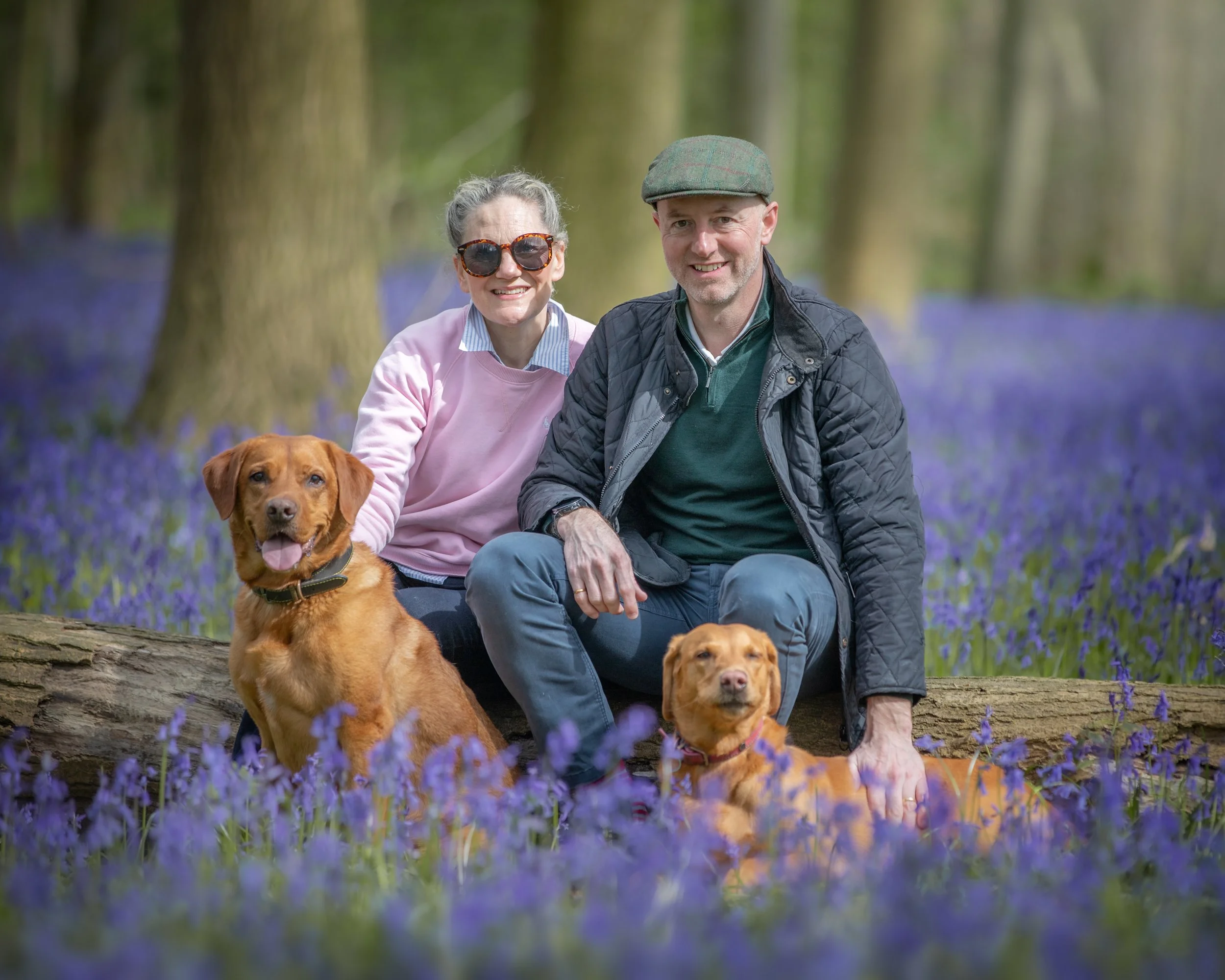 Outdoor dog portrait session of two red fox labradors with their owners by Jane Rowland Photography