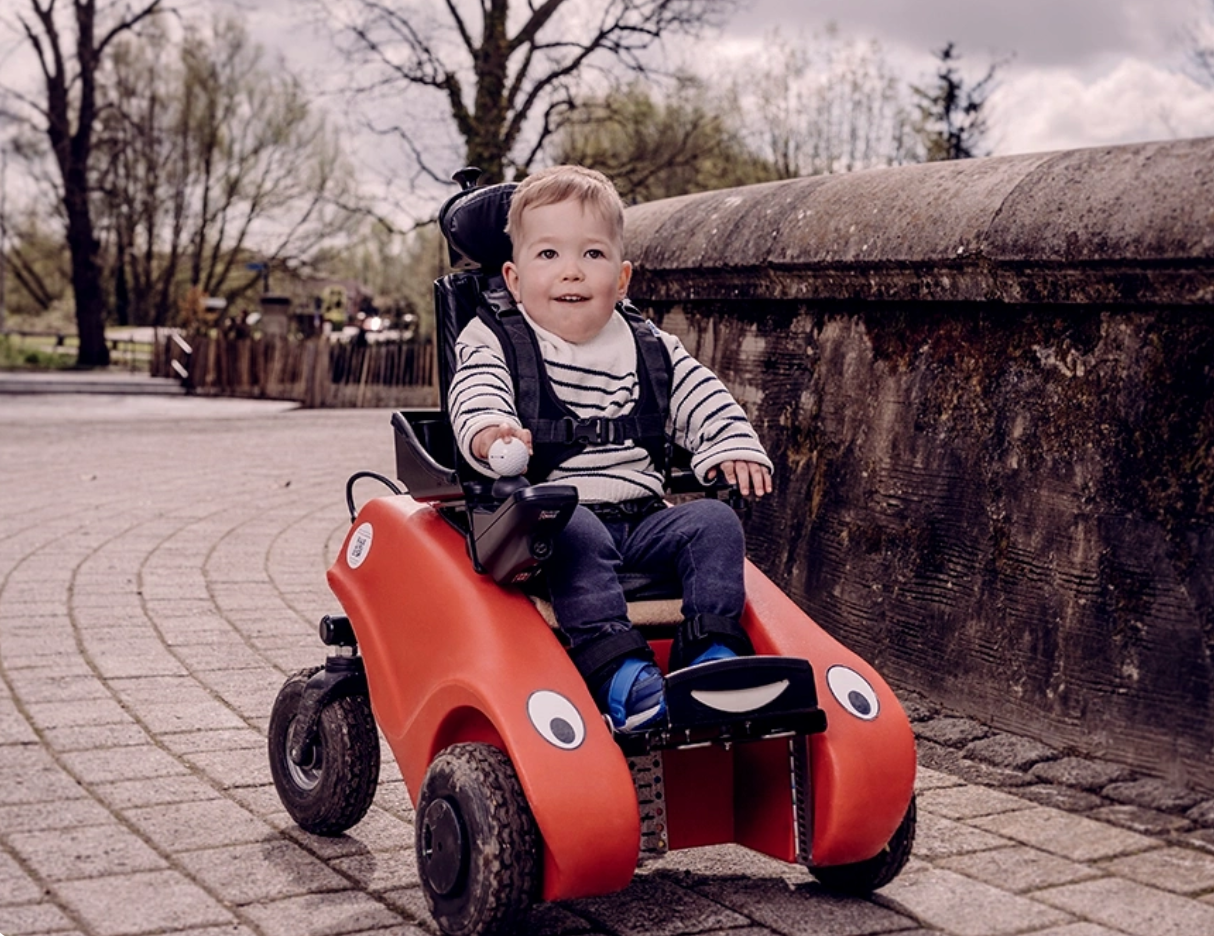 Developing a viable service model for Wizzybug