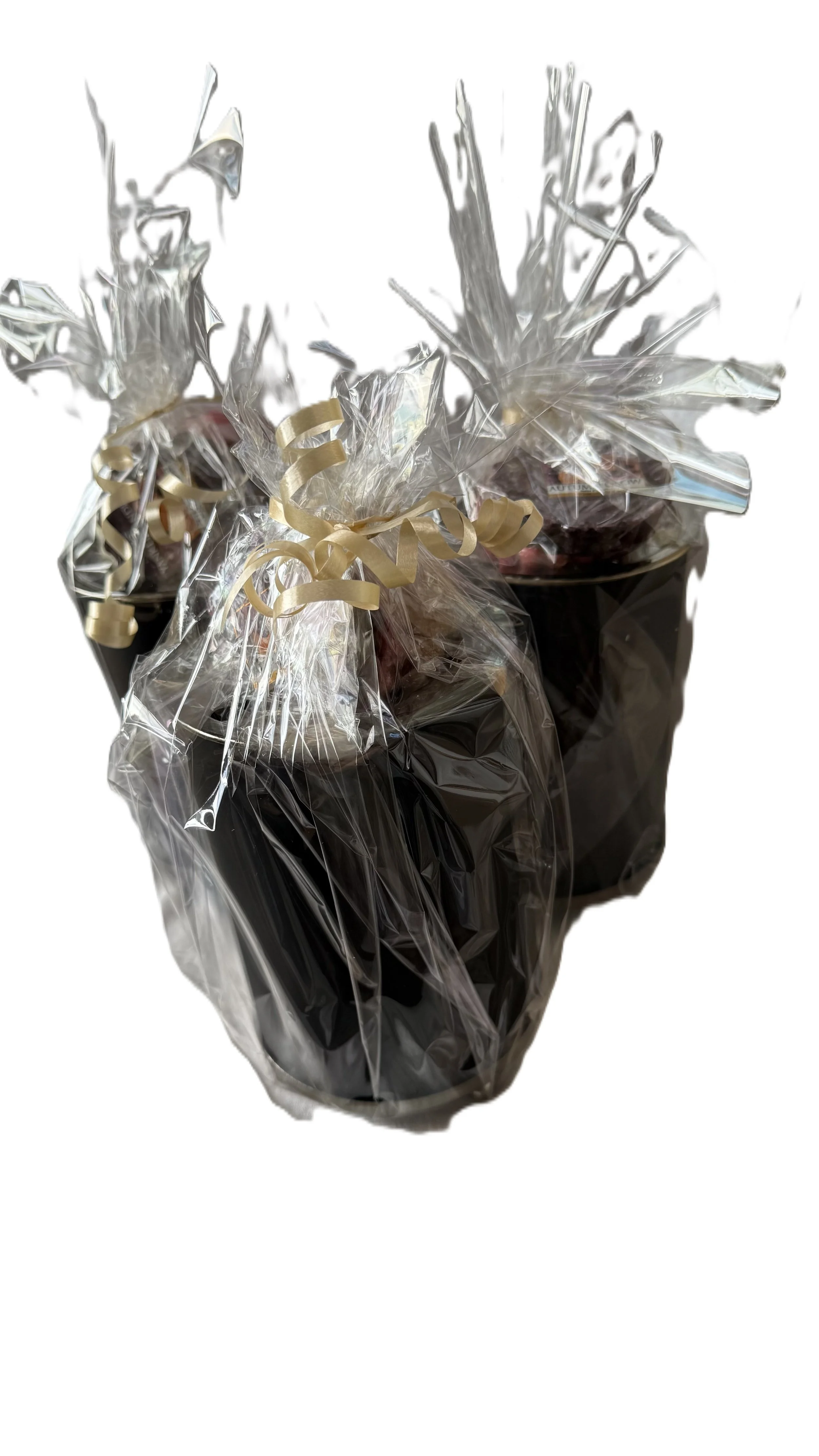 Gifts to Go - Melt Warmer Combo 2
