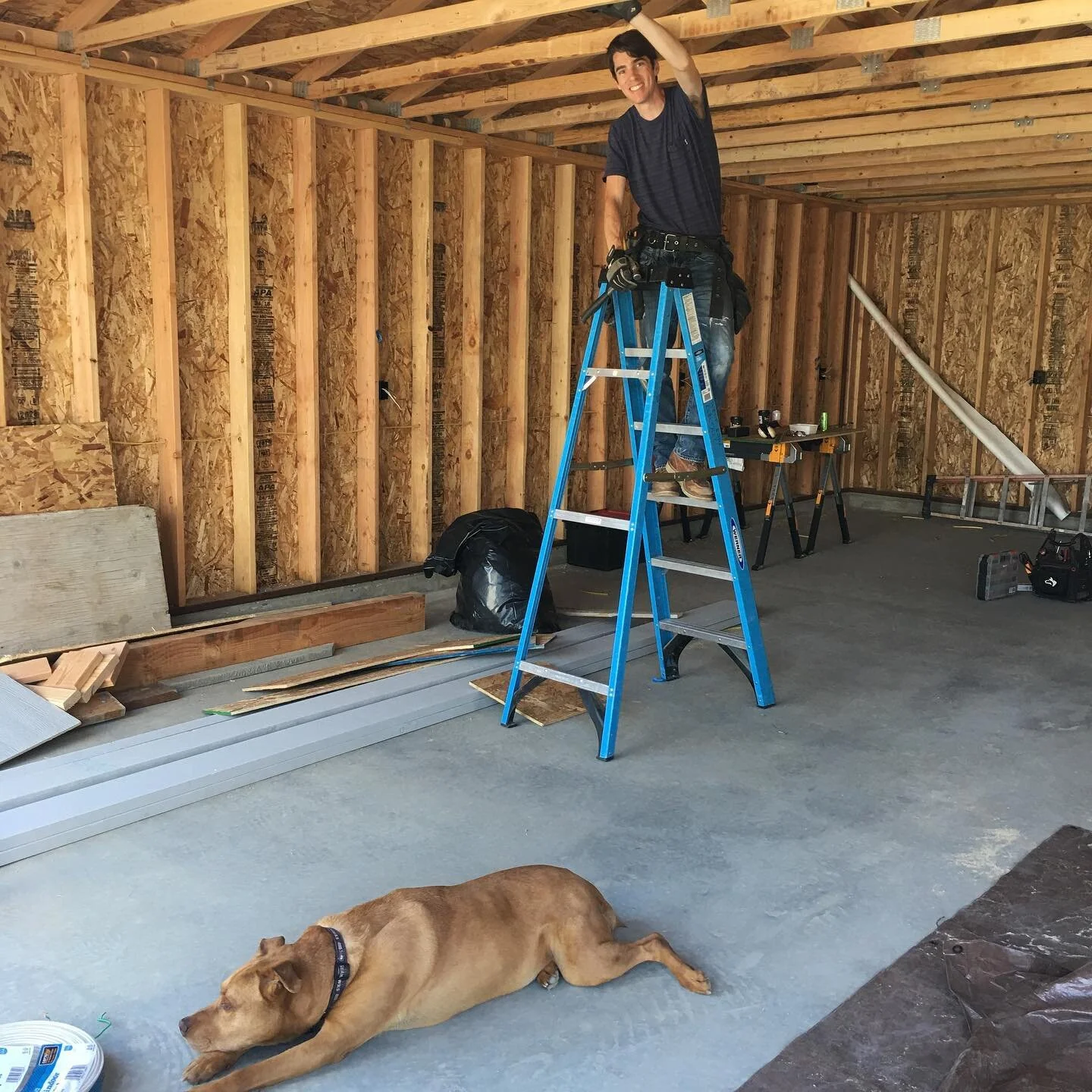 Ahh! The dog days of summer are here.